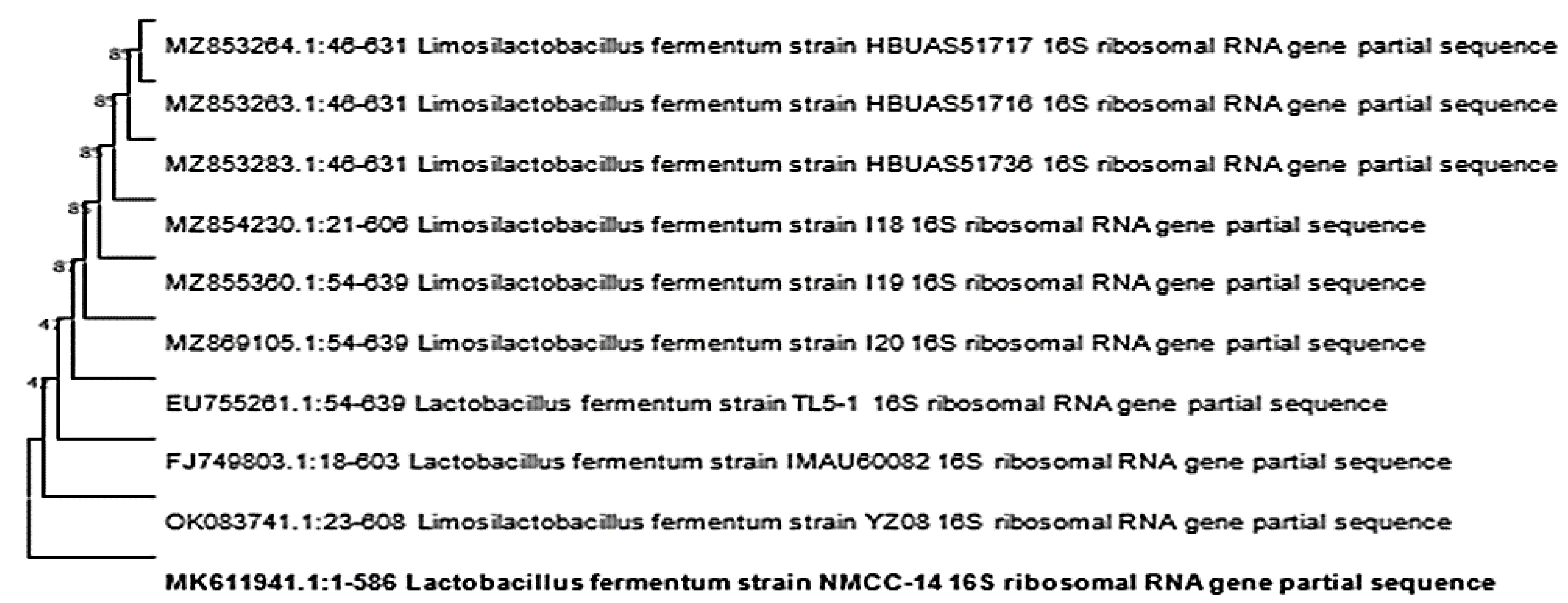 Microorganisms 10 00954 g008 Microorganisms 10 00954 g008