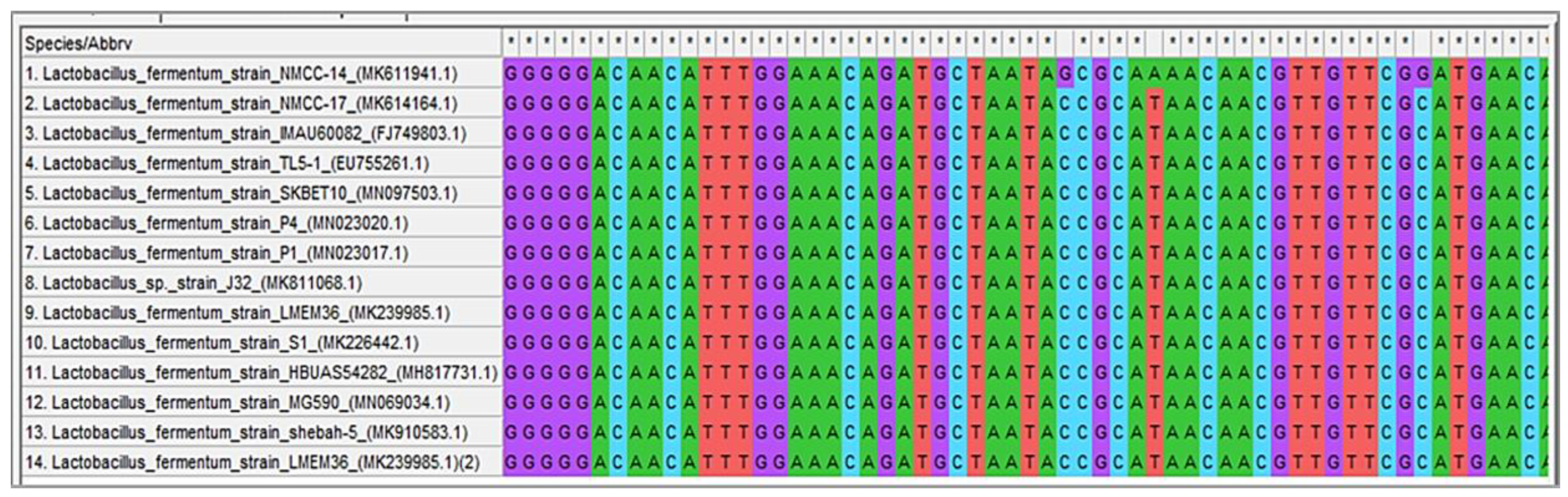 Microorganisms 10 00954 g010 Microorganisms 10 00954 g010