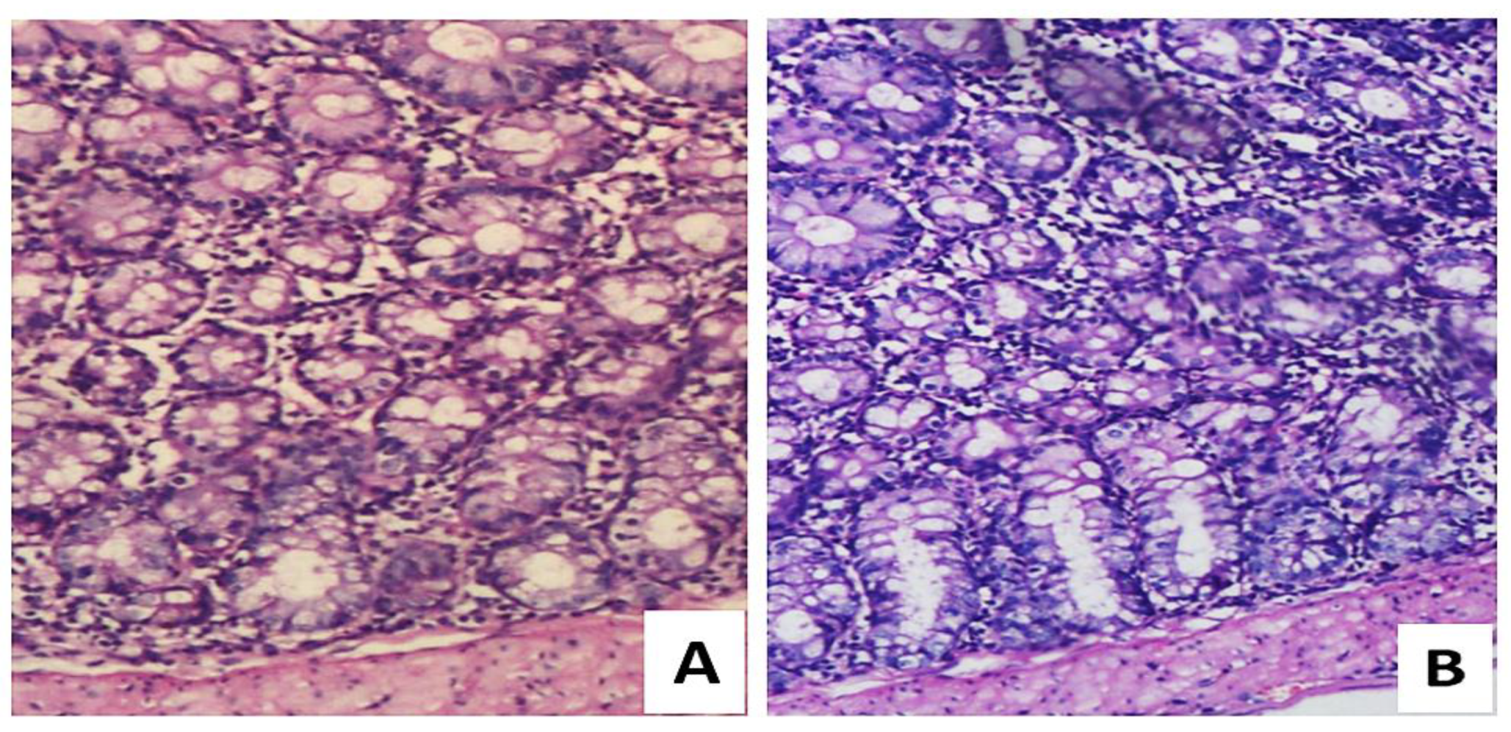 Microorganisms 10 00954 g011 Microorganisms 10 00954 g011