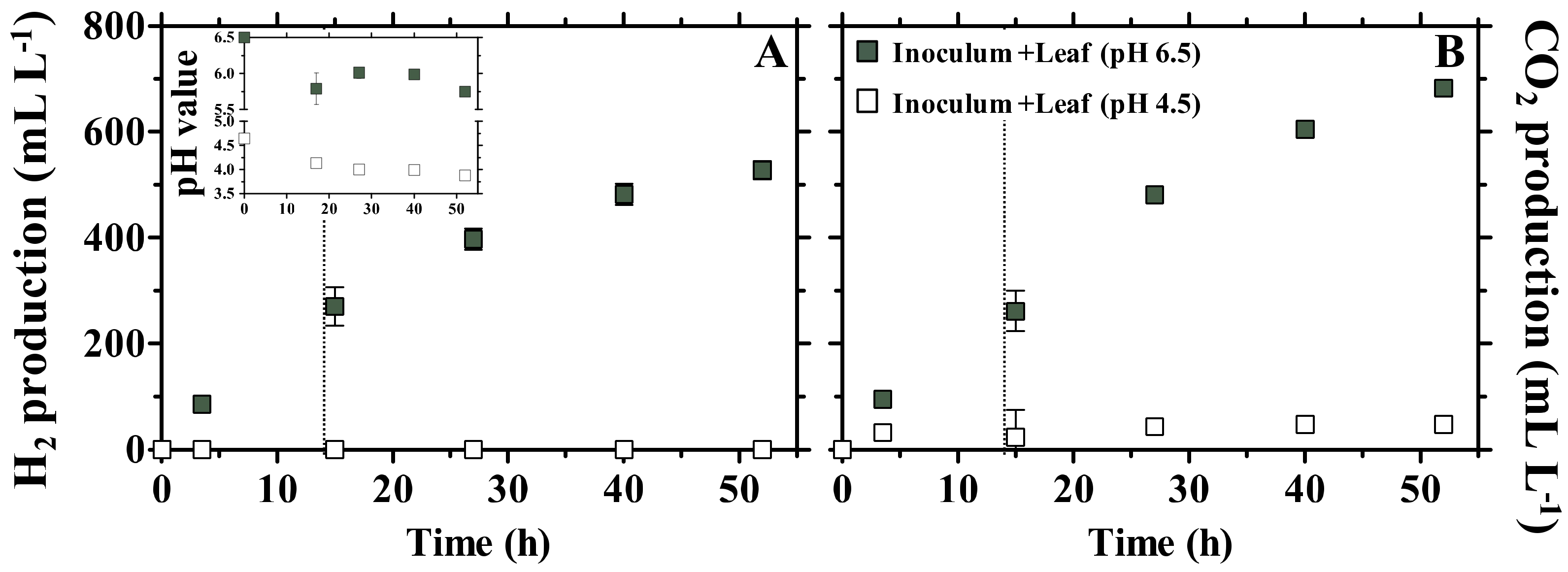 Microorganisms 10 00978 g005