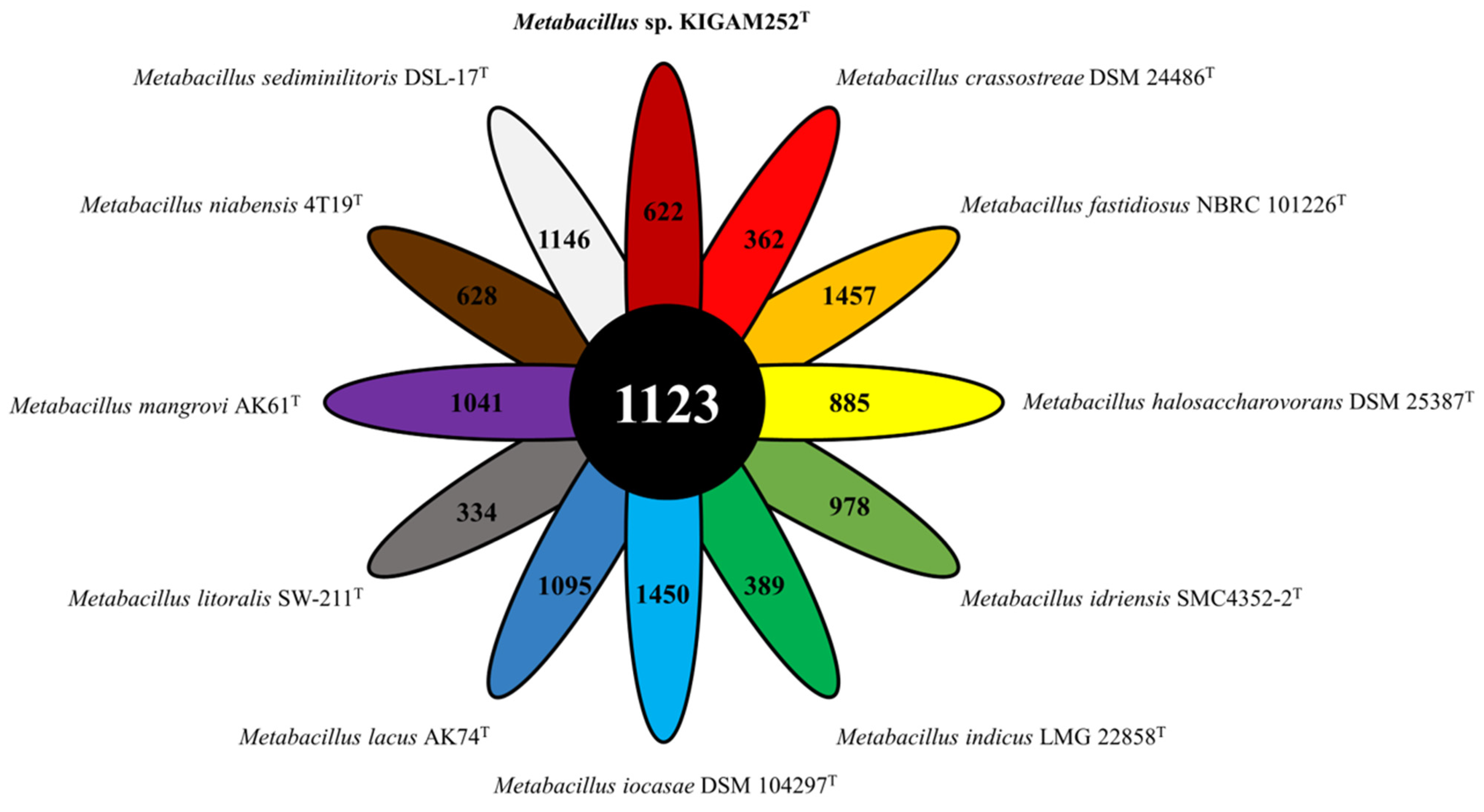 Microorganisms 10 00979 g003