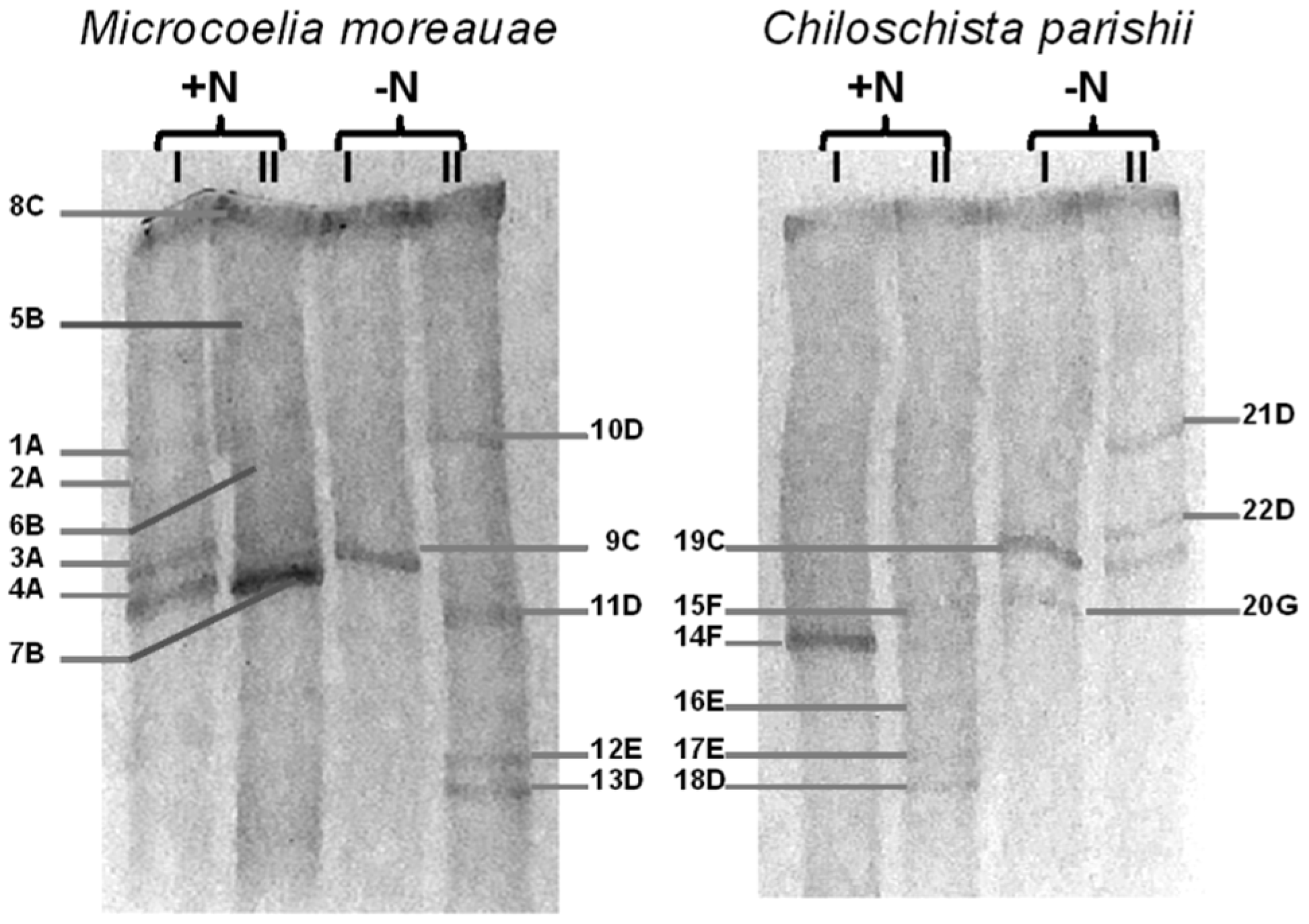 Microorganisms 10 01006 g003