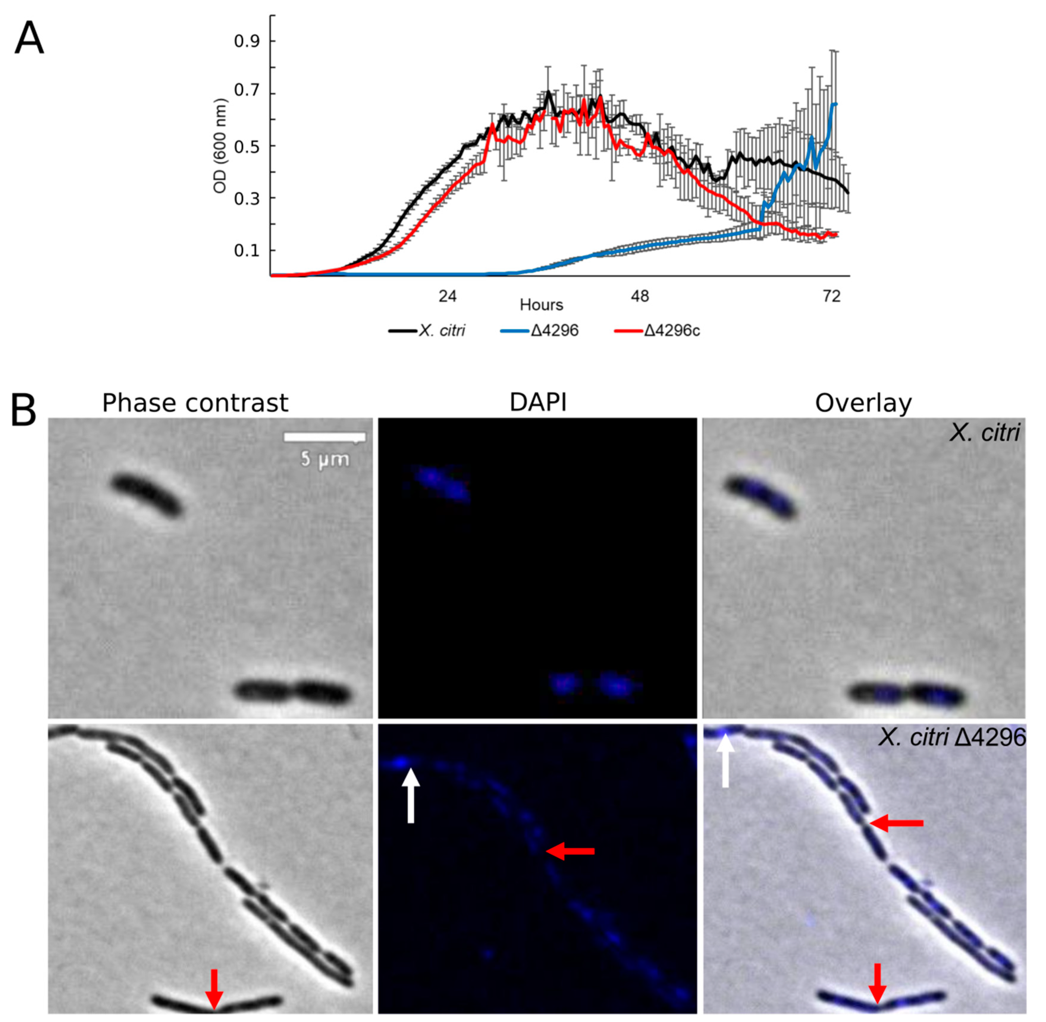 Microorganisms 10 01008 g004