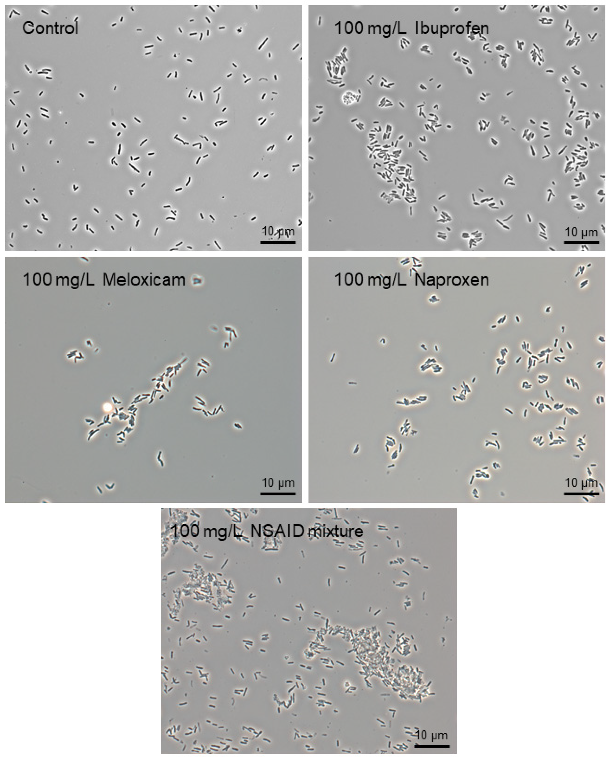 Microorganisms 10 01101 g002