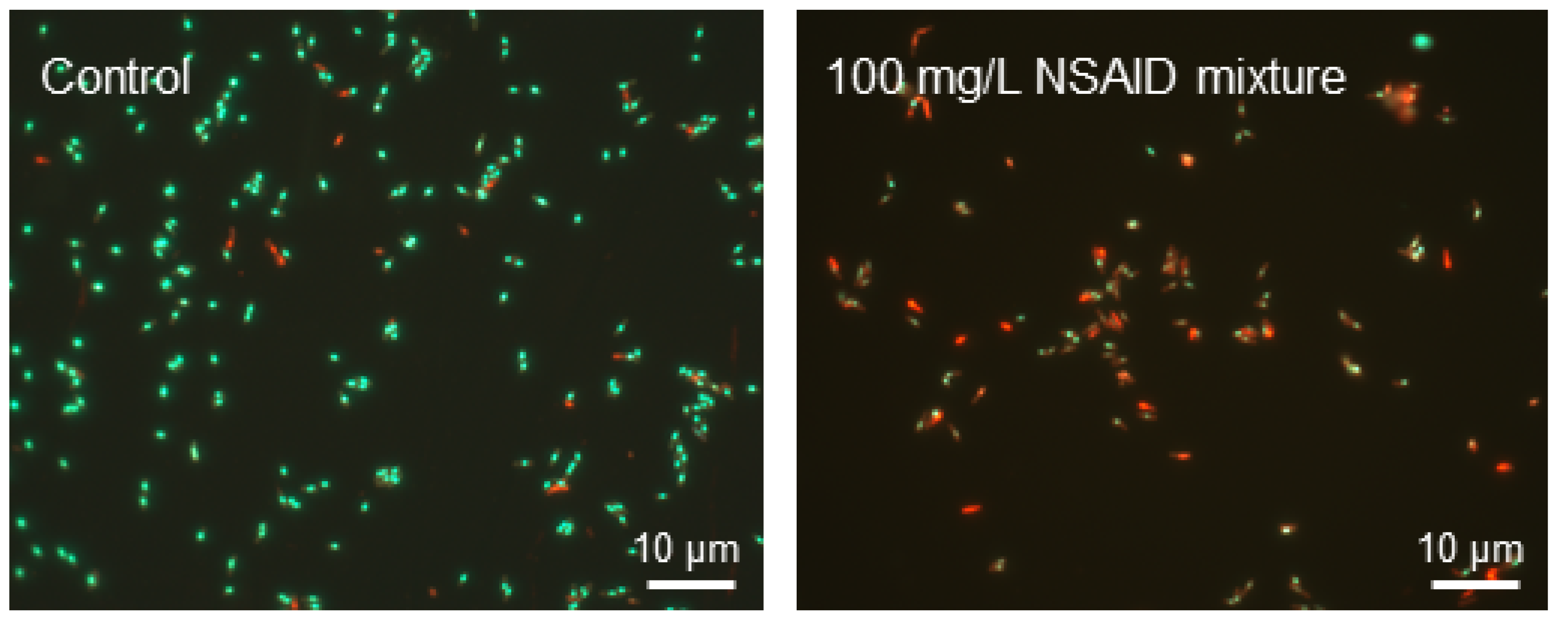 Microorganisms 10 01101 g004