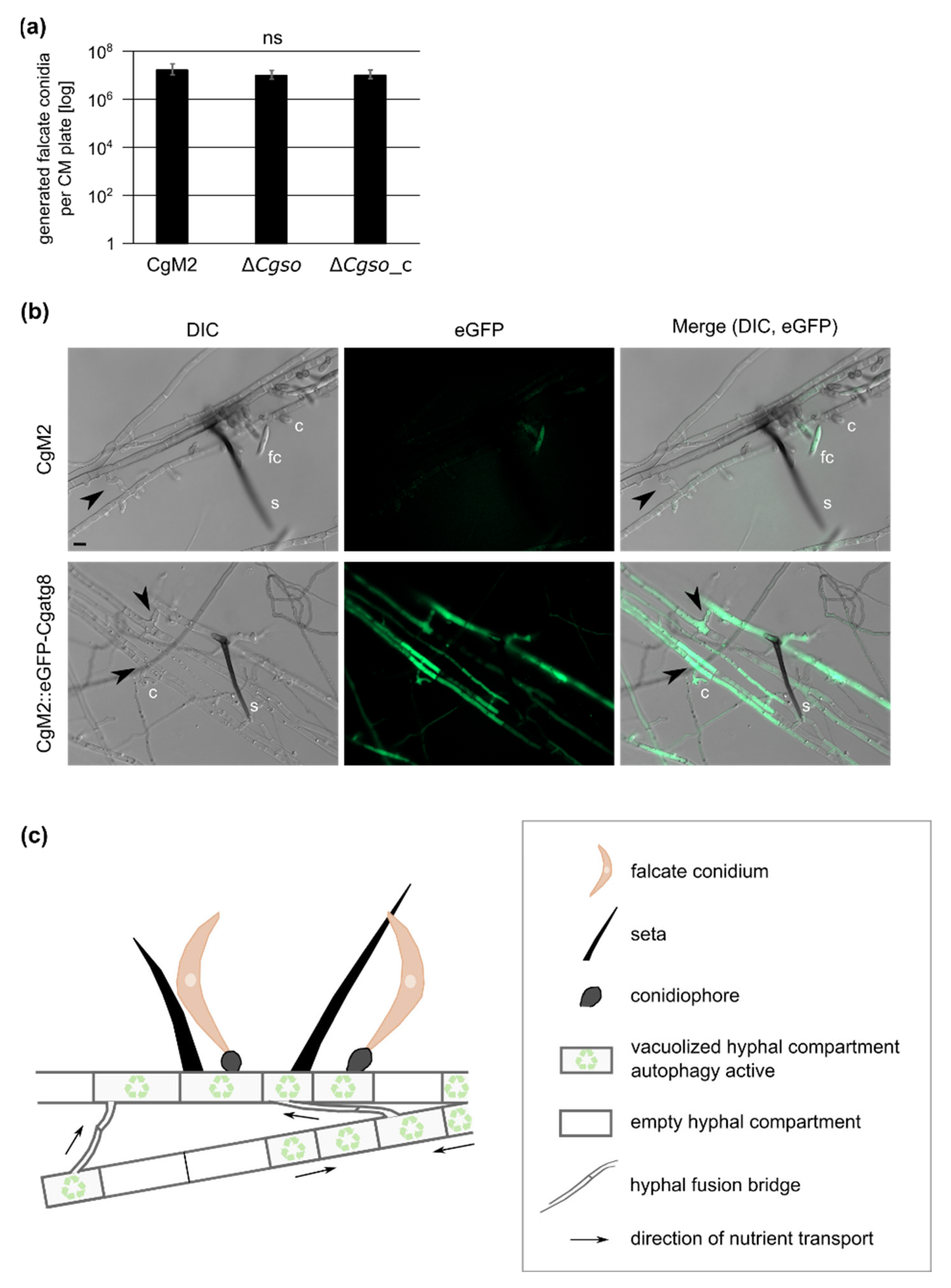 Microorganisms 10 01146 g005