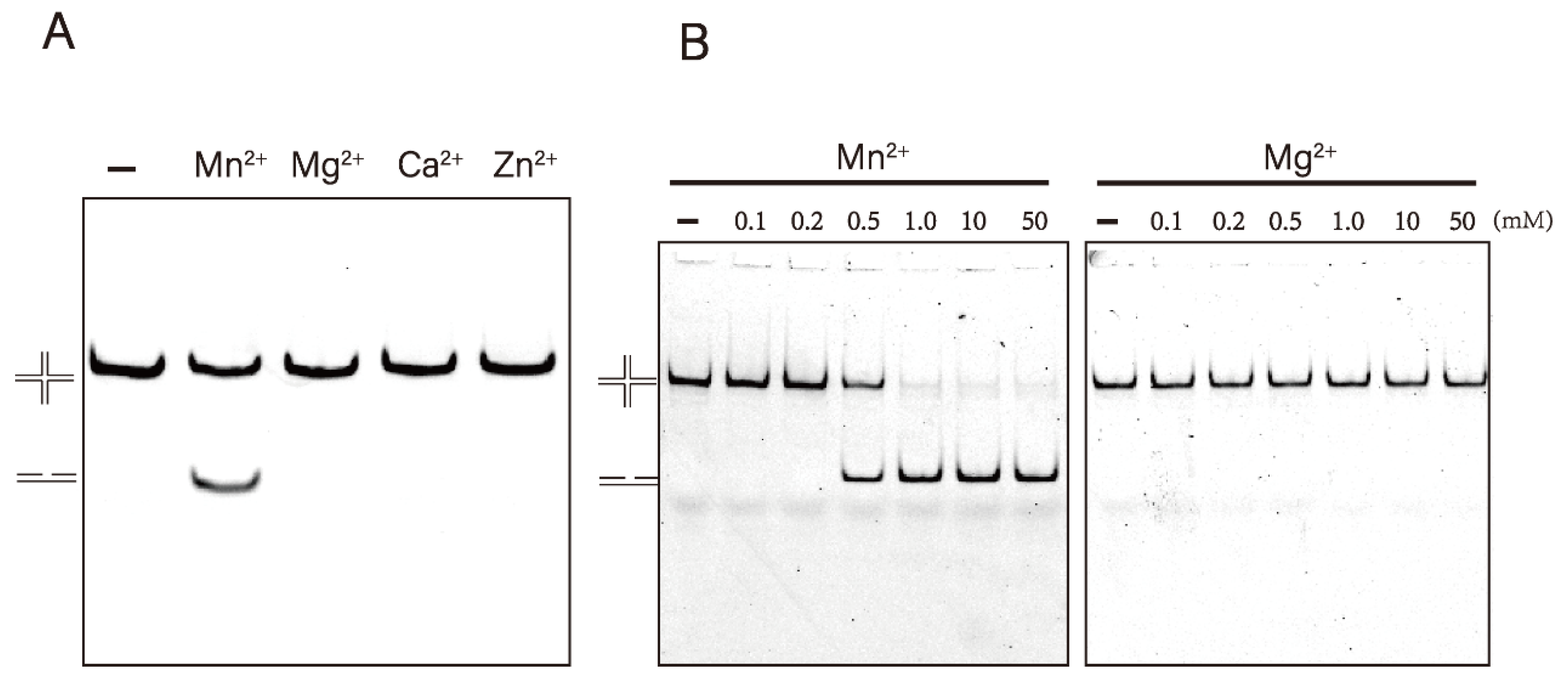Microorganisms 10 01160 g002