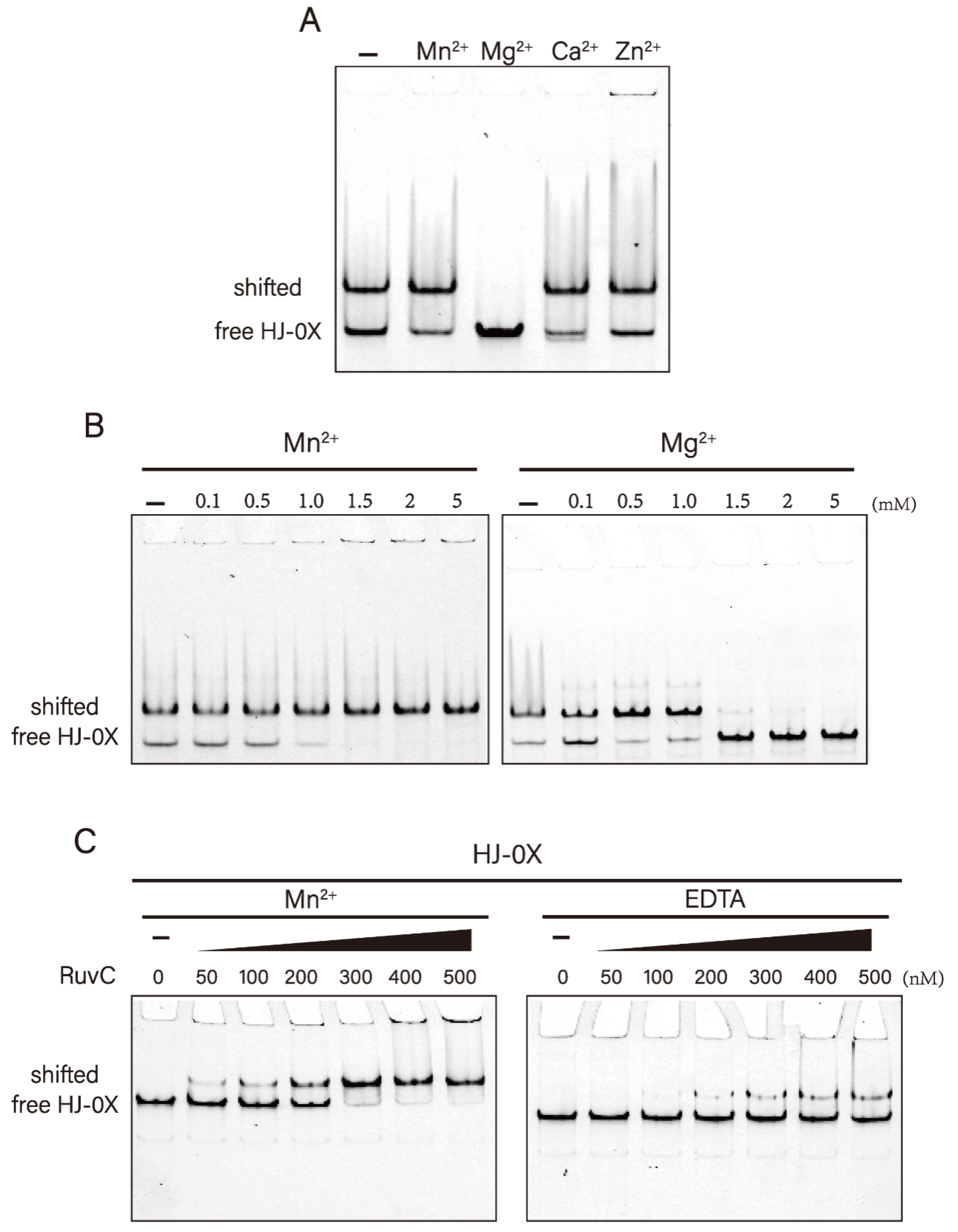Microorganisms 10 01160 g003