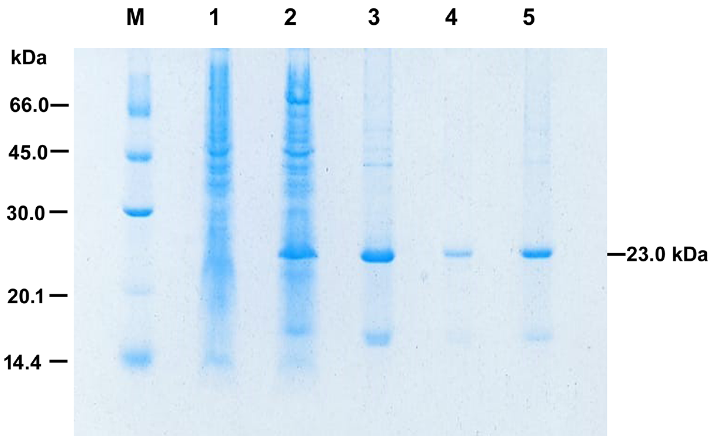Microorganisms 10 01174 g003