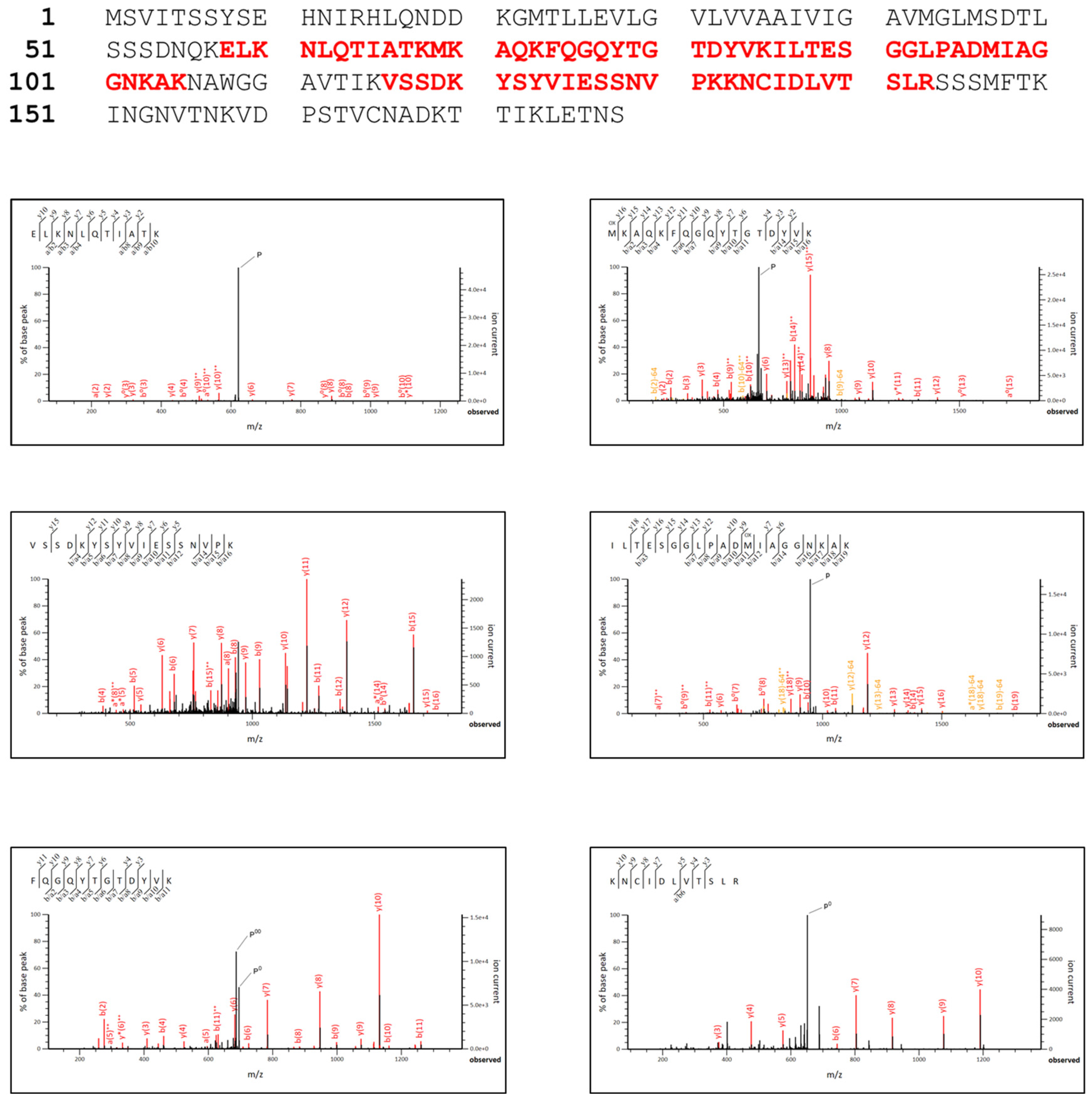 Microorganisms 10 01174 g004