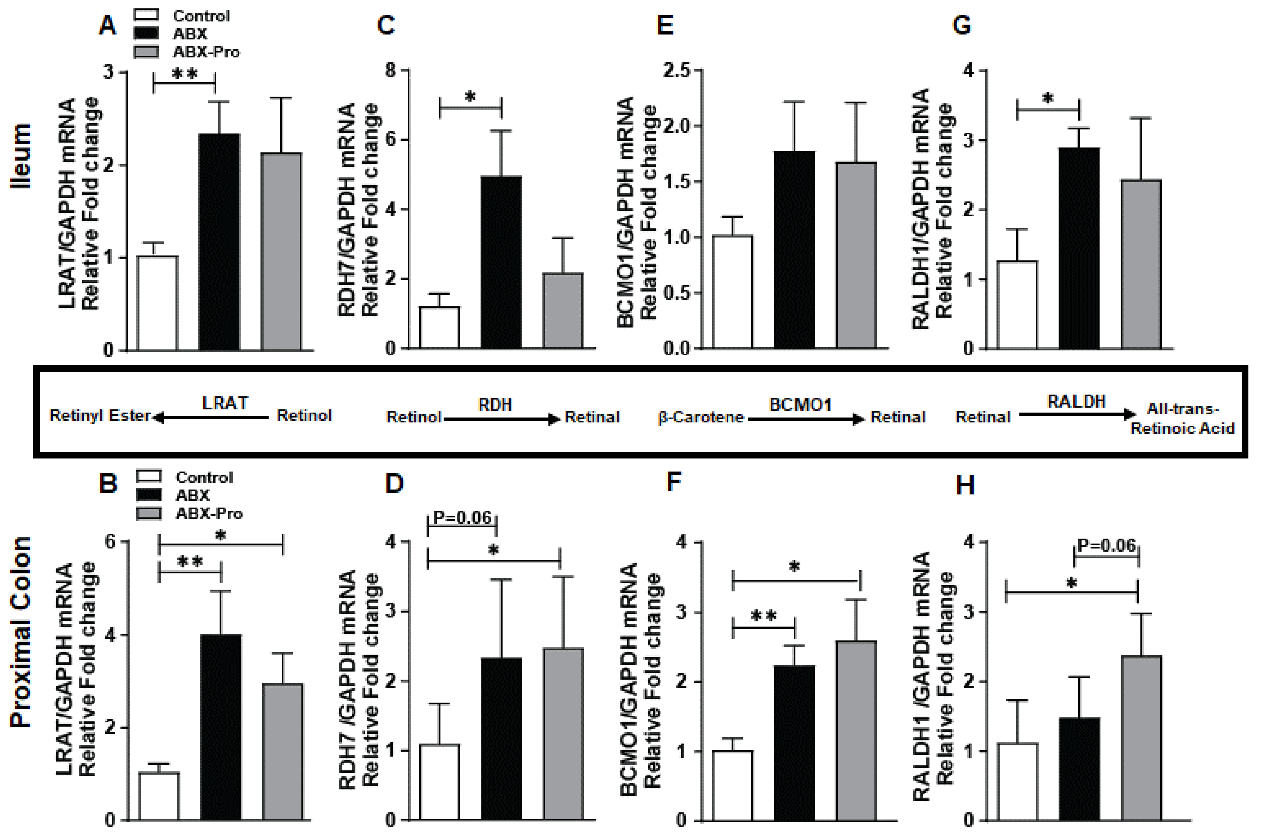 Microorganisms 10 01178 g005