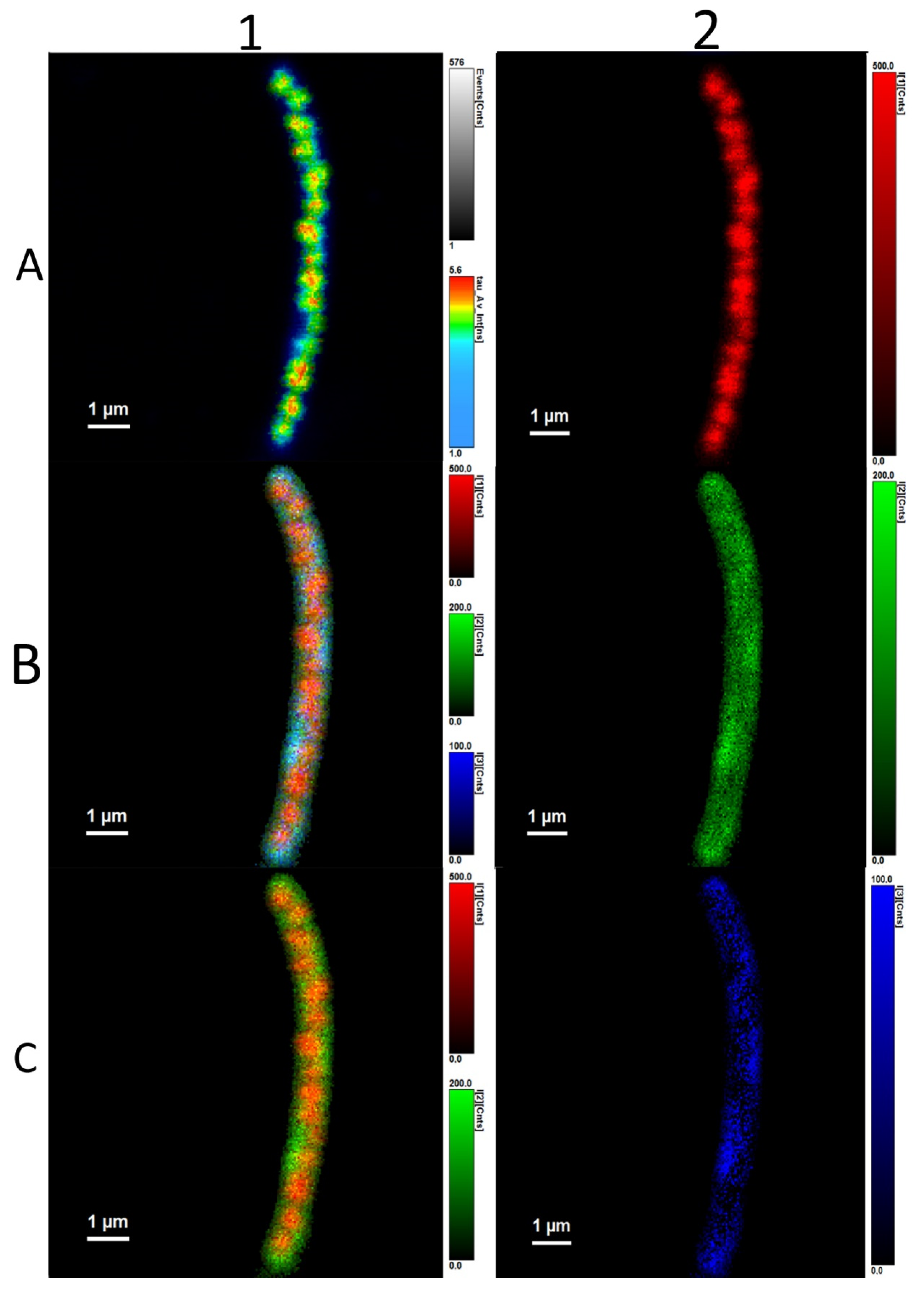 Microorganisms 10 01179 g007