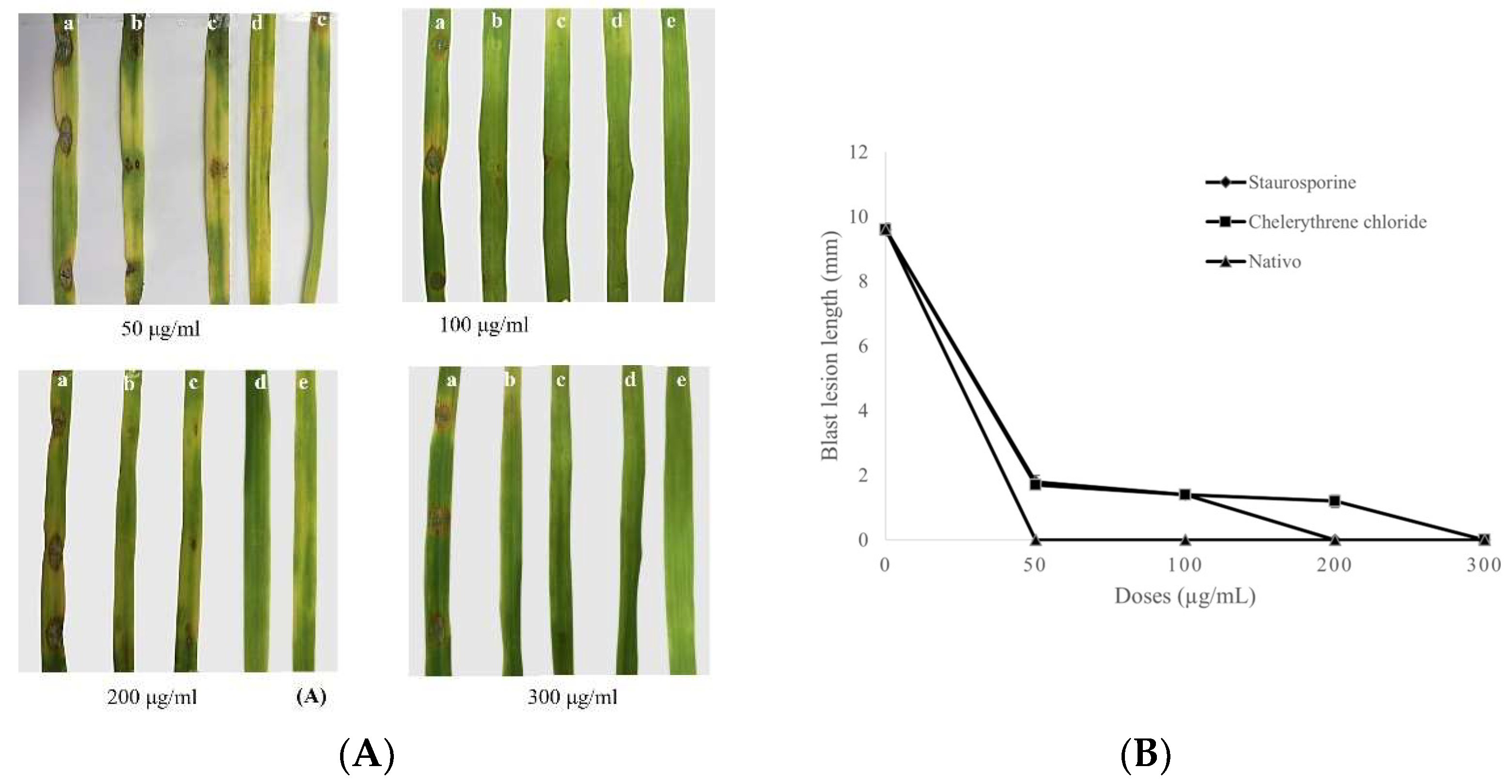 Microorganisms 10 01186 g006