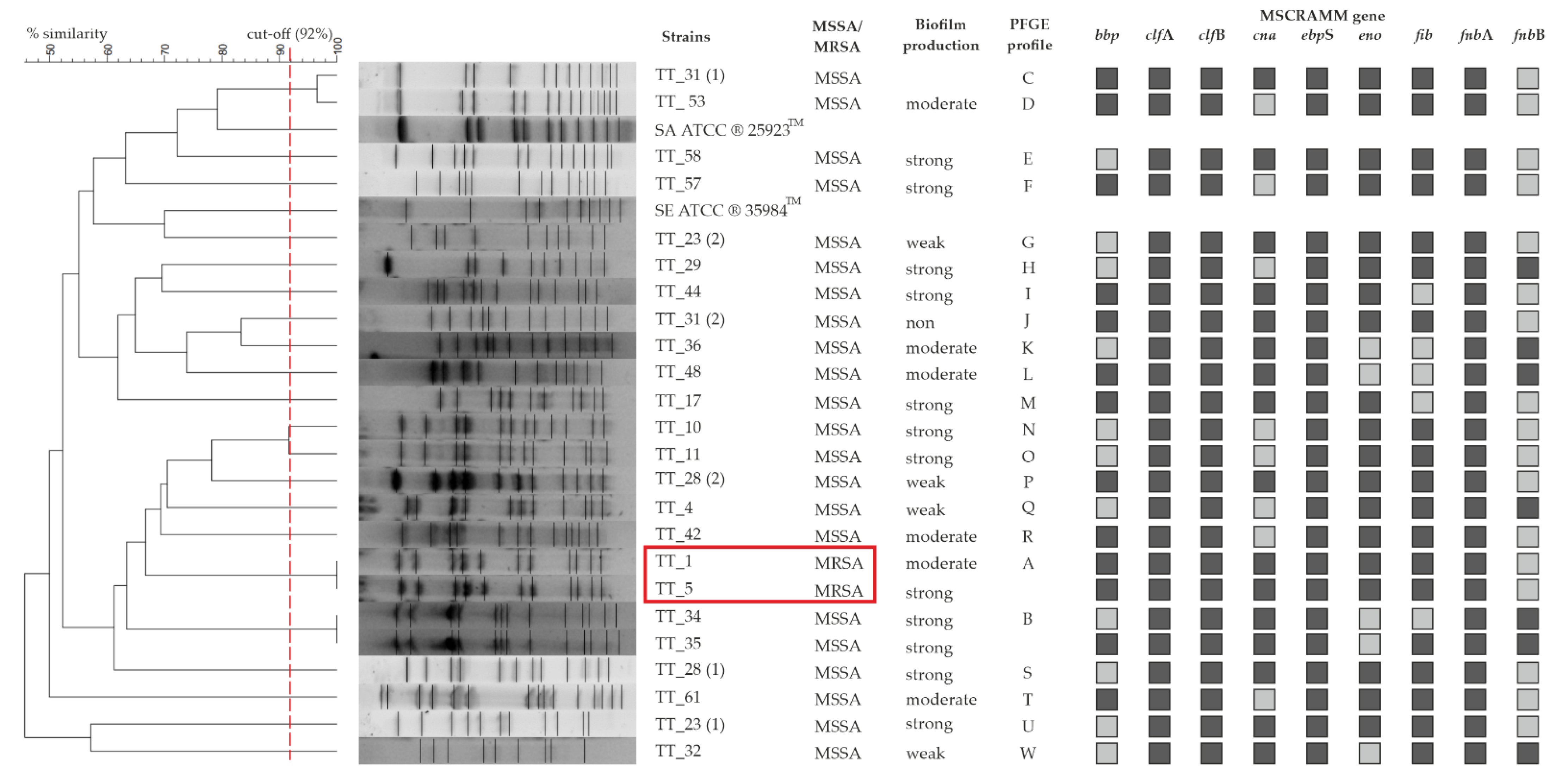 Microorganisms 10 01210 g002 Microorganisms 10 01210 g002