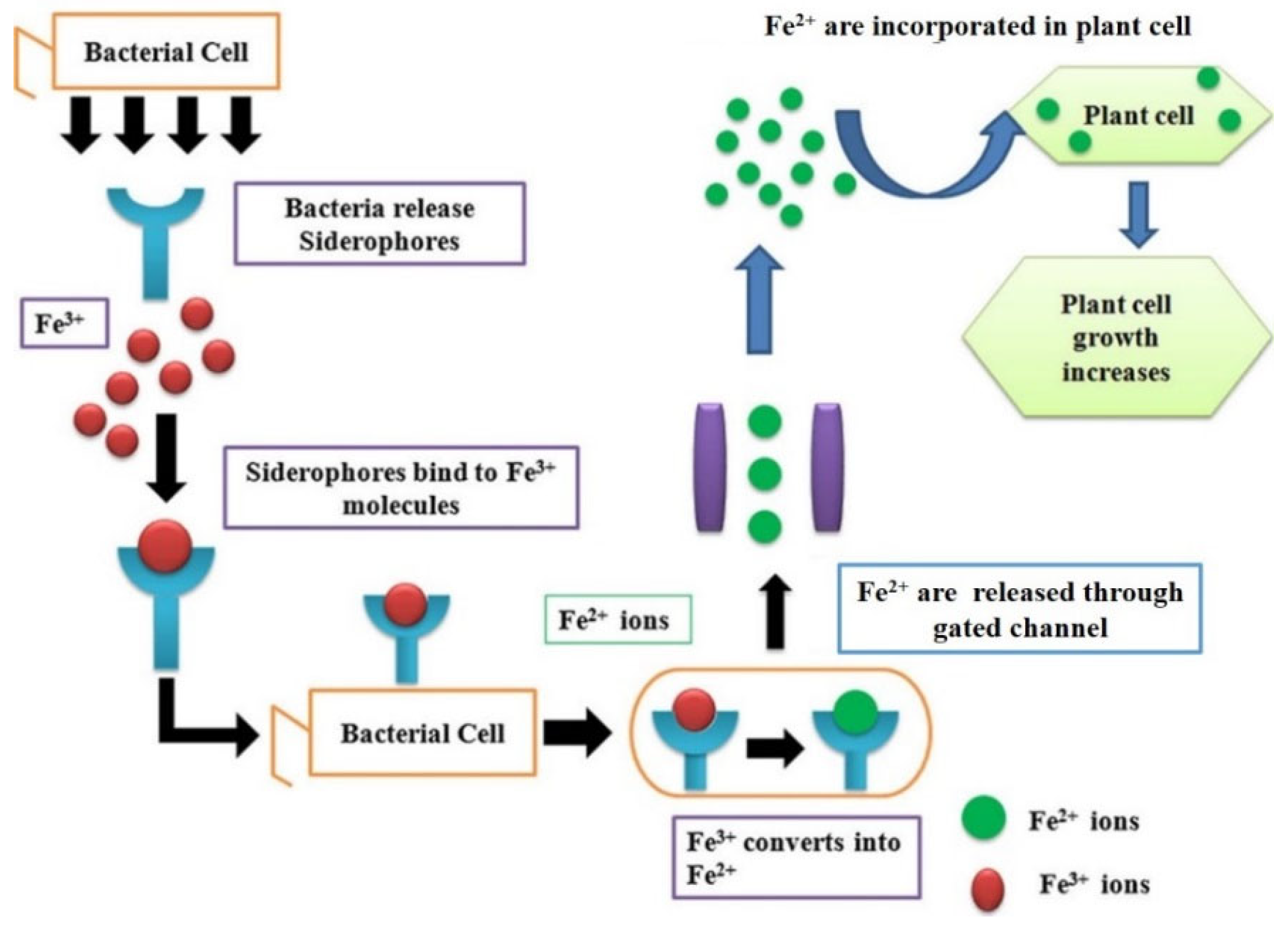 Microorganisms 10 01220 g004