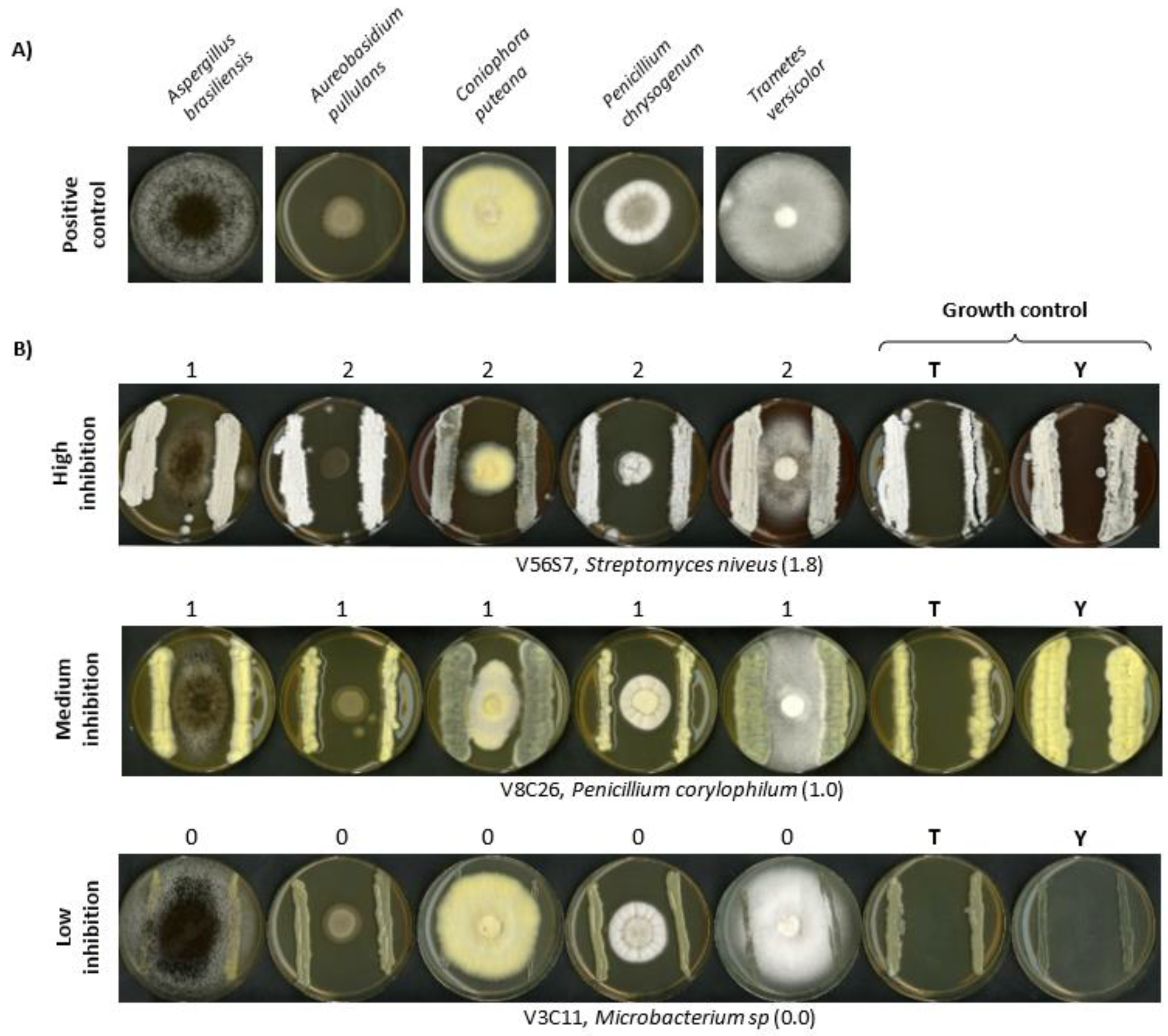 Microorganisms 10 01249 g005