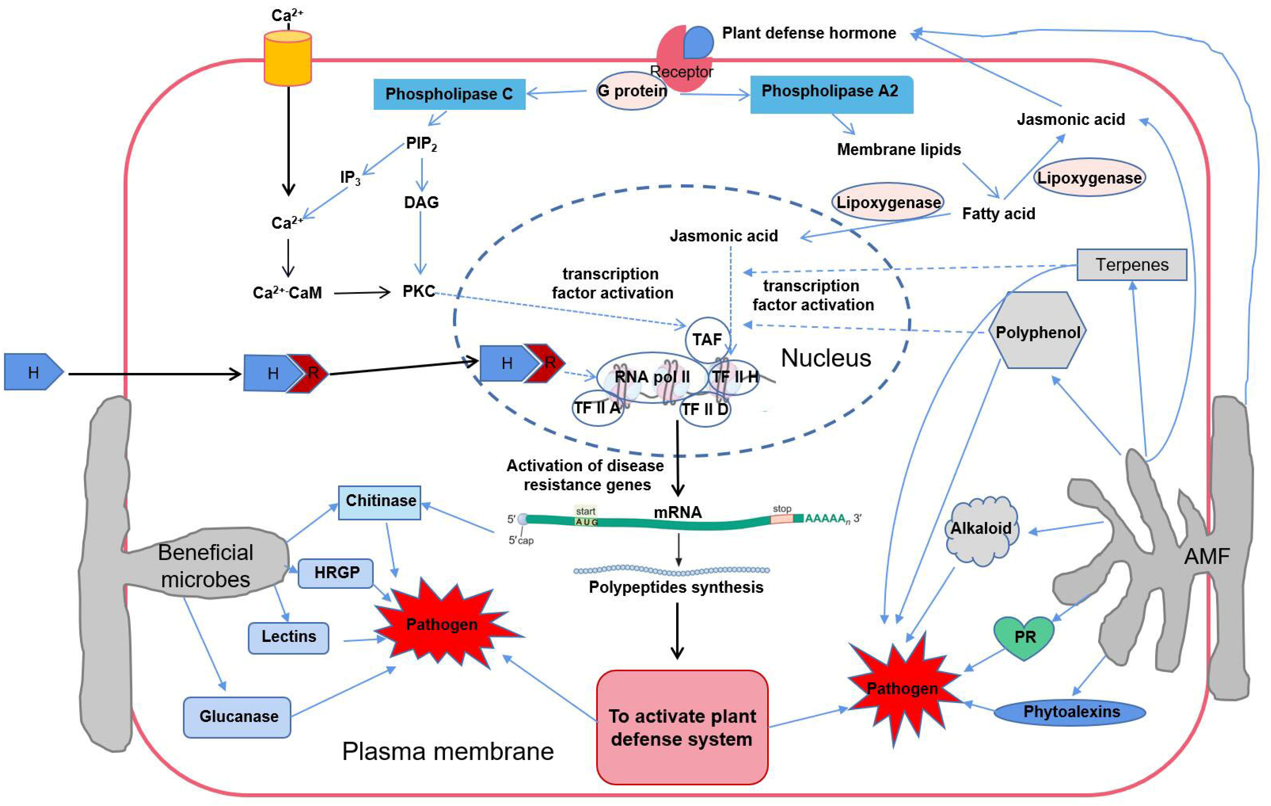 Microorganisms 10 01266 g003 Microorganisms 10 01266 g003