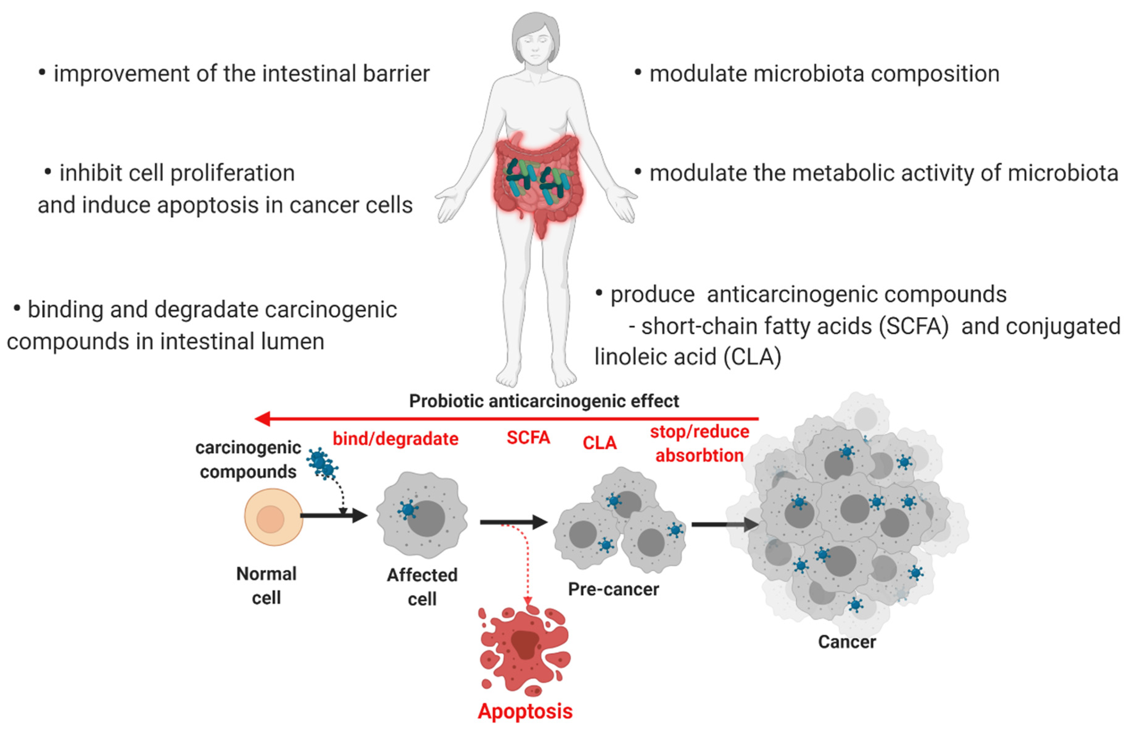 Microorganisms 10 01278 g003