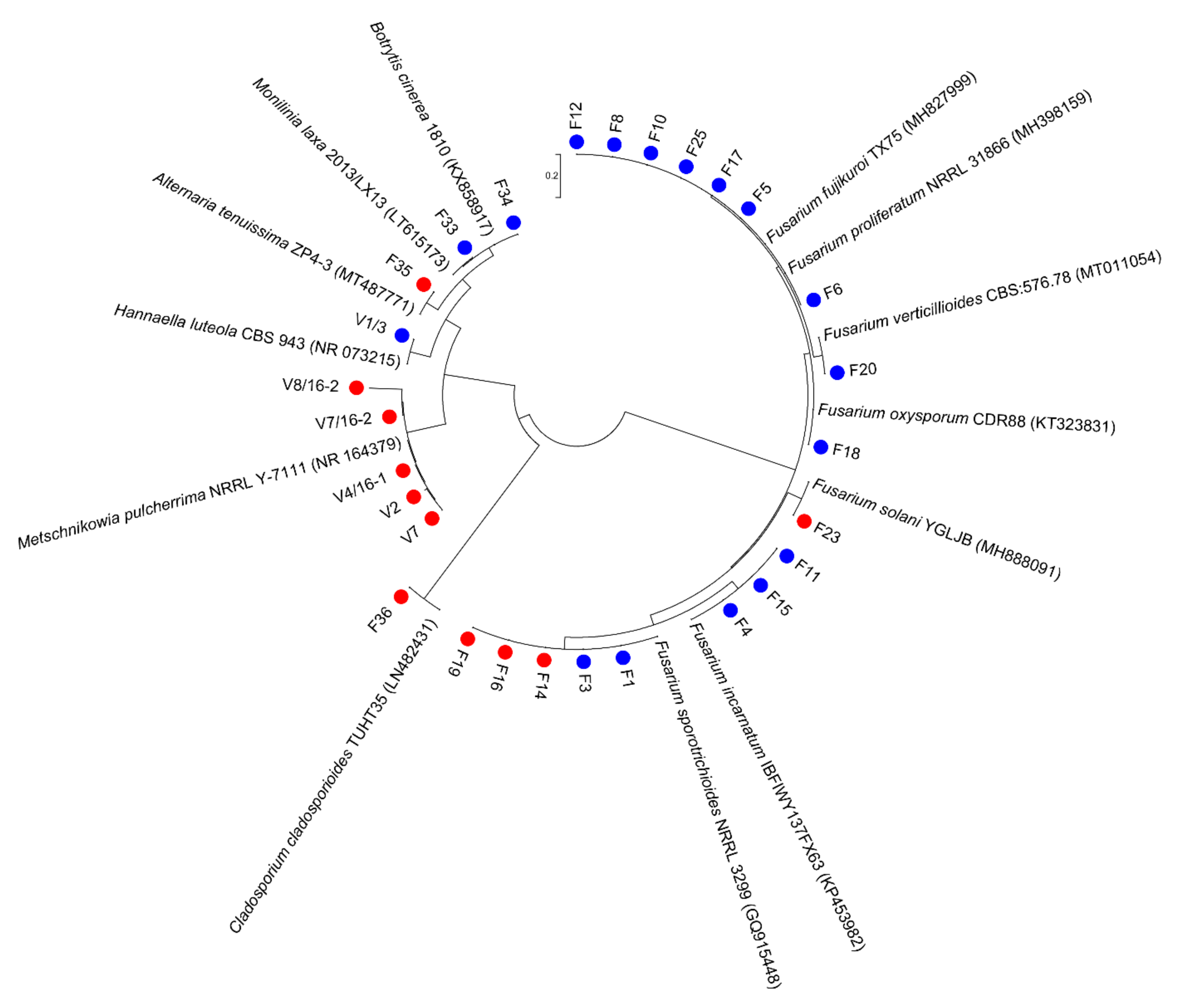Microorganisms 10 01282 g002