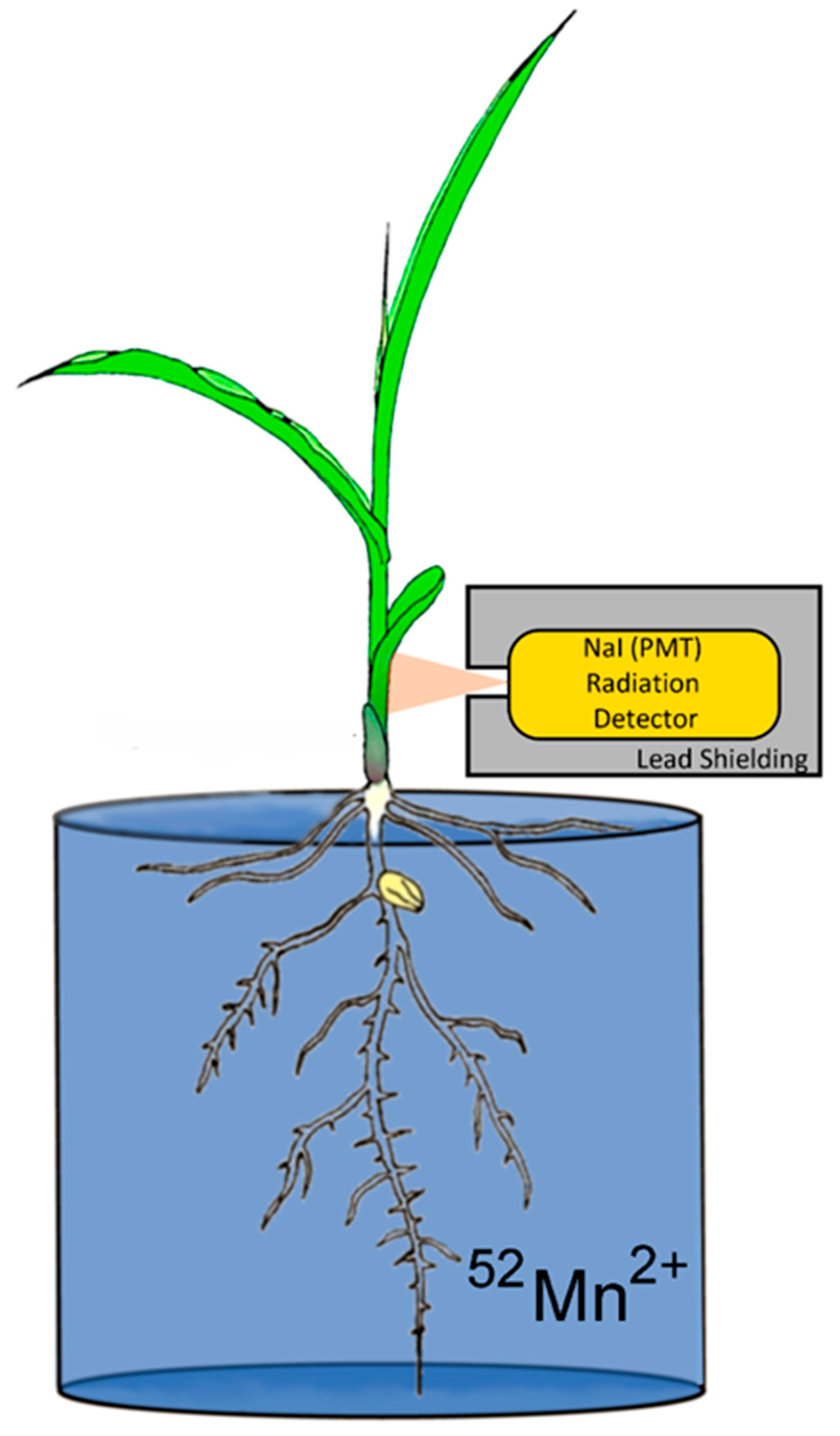 Microorganisms 10 01290 g001