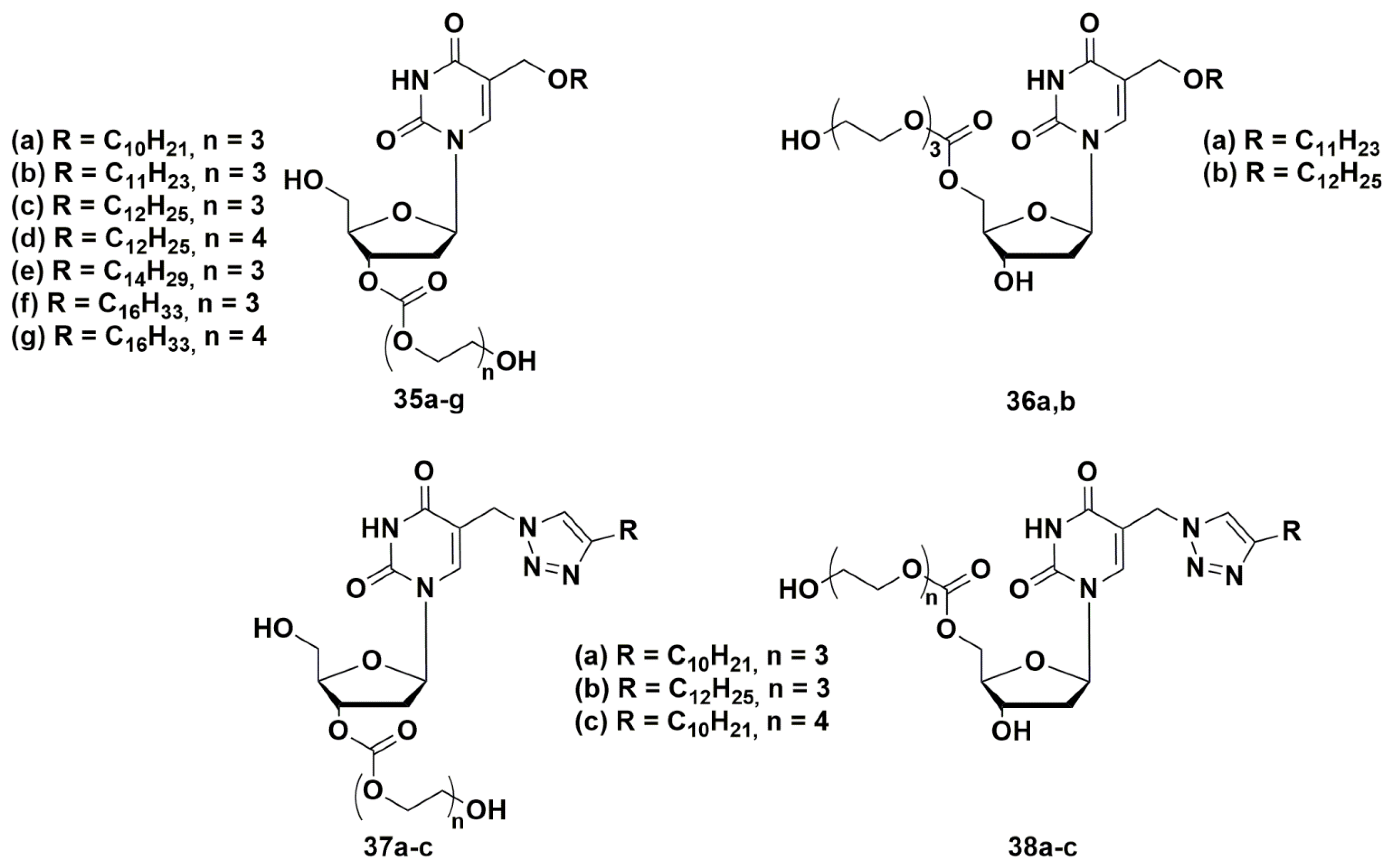 Microorganisms 10 01299 g010