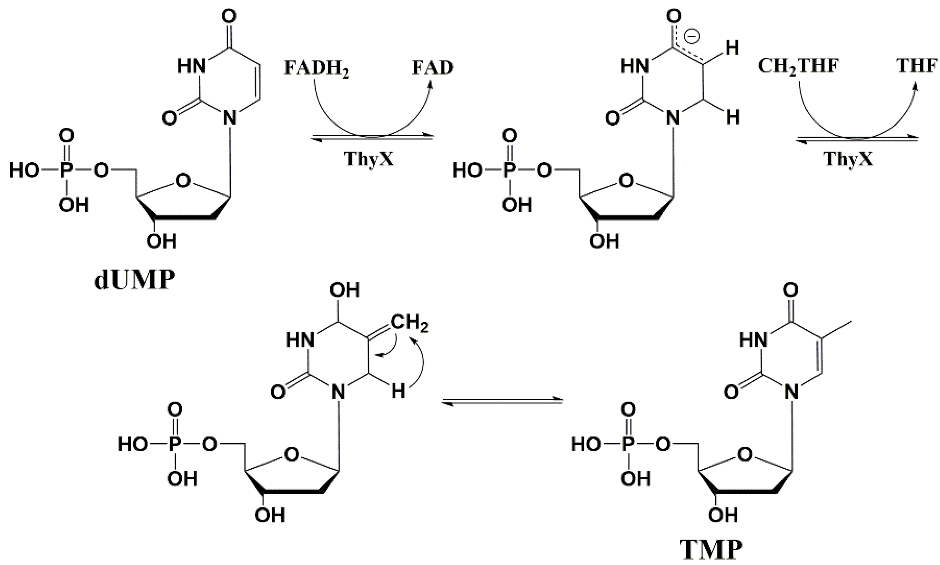 Microorganisms 10 01299 g017