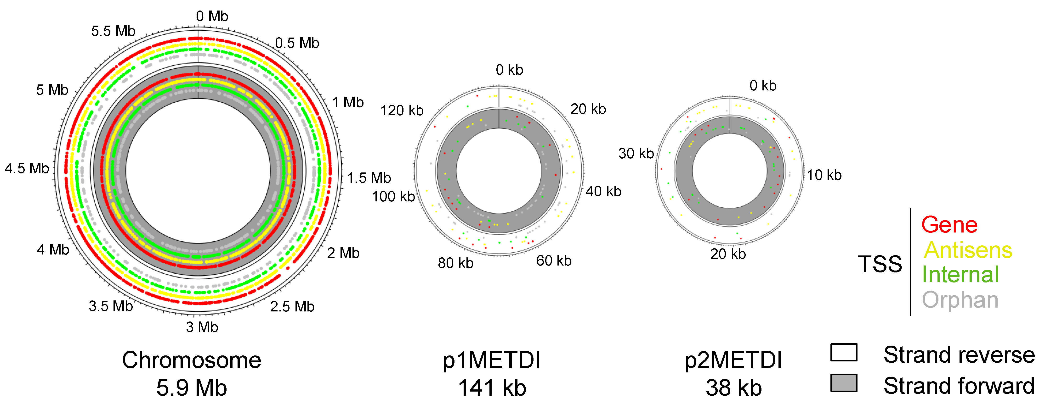 Microorganisms 10 01301 g001 Microorganisms 10 01301 g001