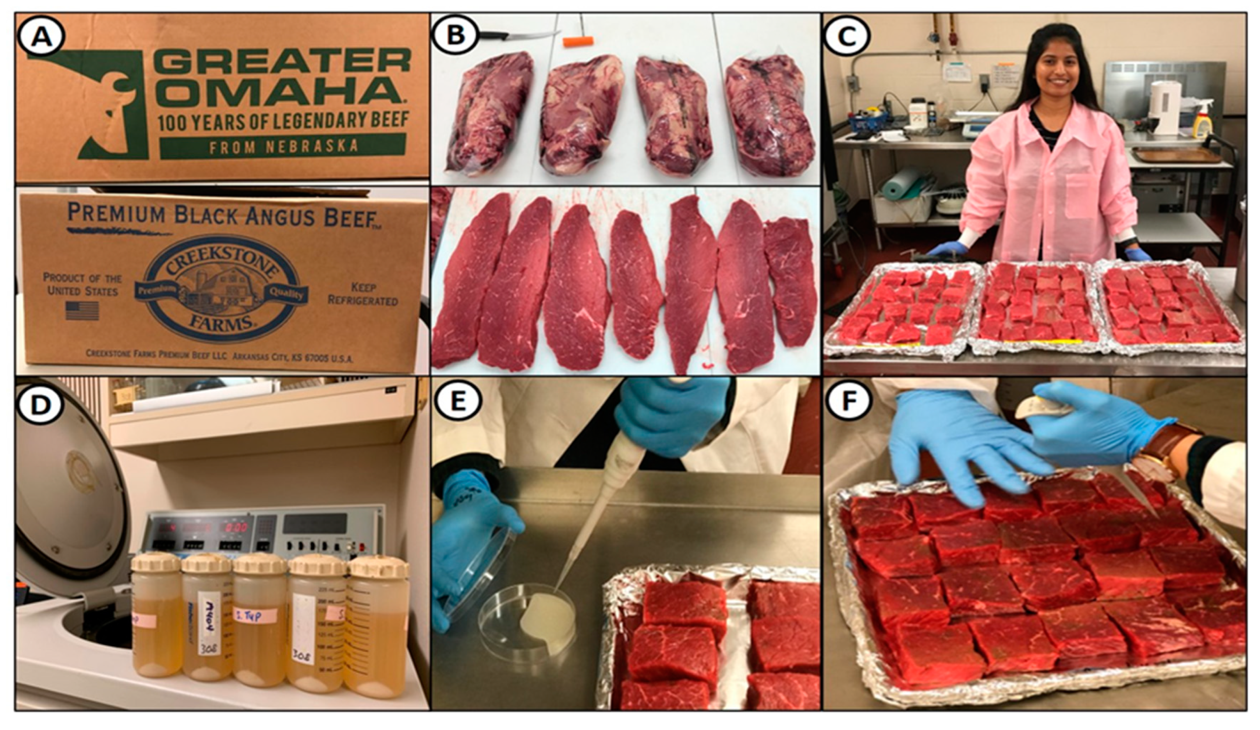 Microorganisms | Free Full-Text | Effect of Biltong Dried Beef Processing  on the Reduction of Listeria monocytogenes, E. coli O157:H7, and  Staphylococcus aureus, and the Contribution of the Major Marinade Components