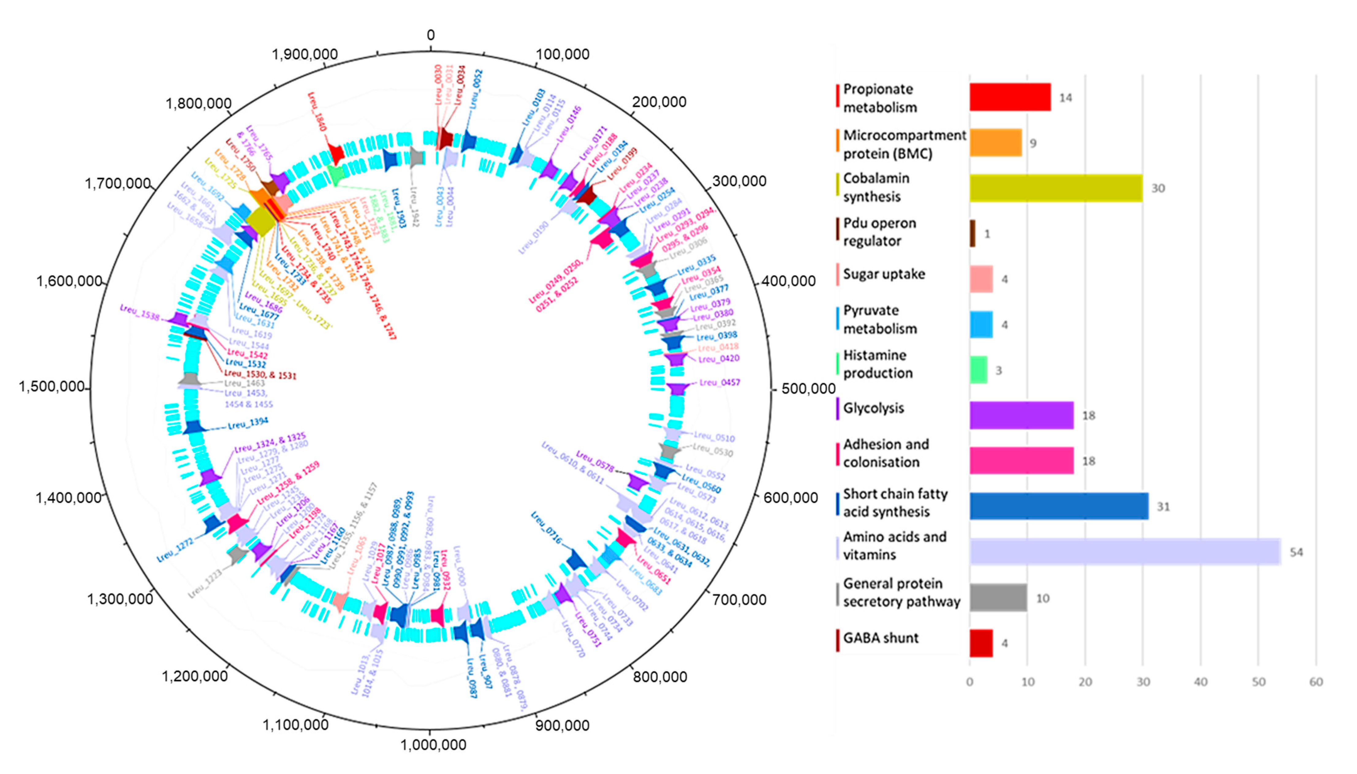 Microorganisms 10 01341 g003