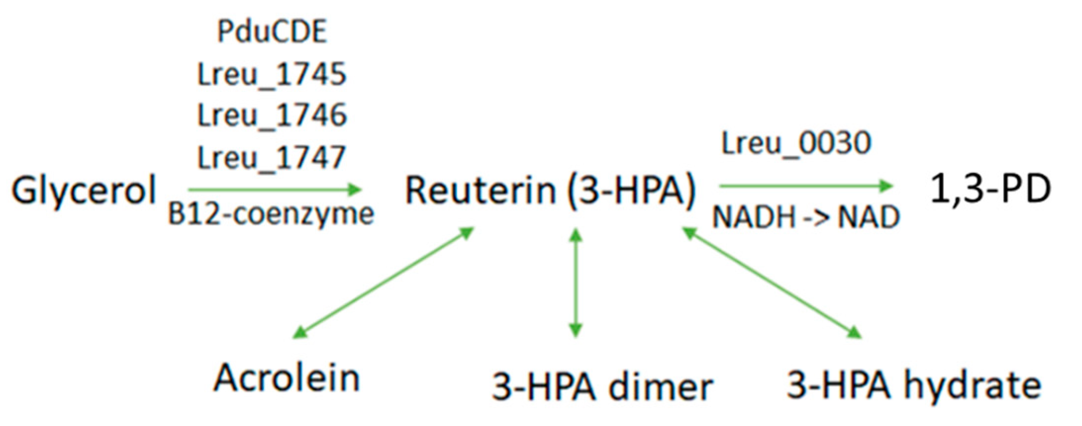 Microorganisms 10 01341 g005