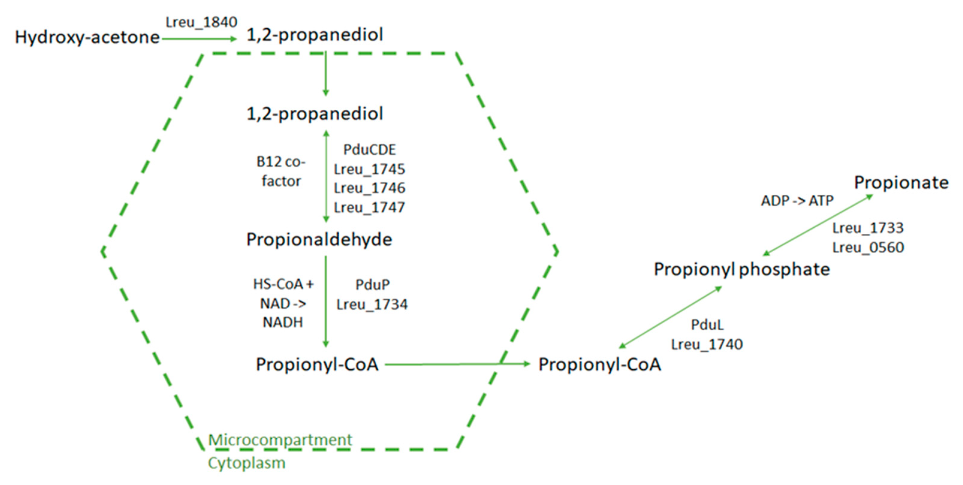 Microorganisms 10 01341 g006