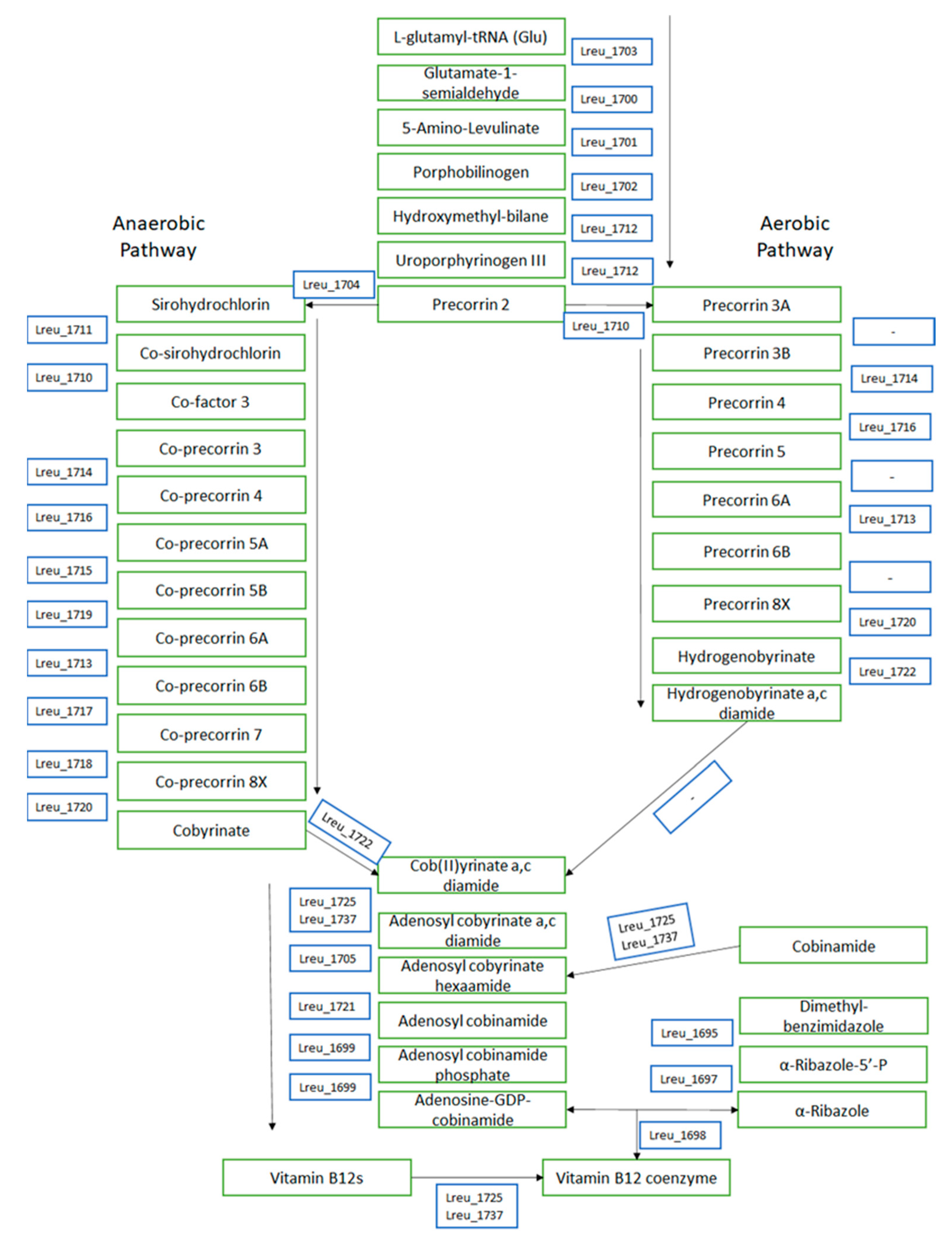 Microorganisms 10 01341 g007