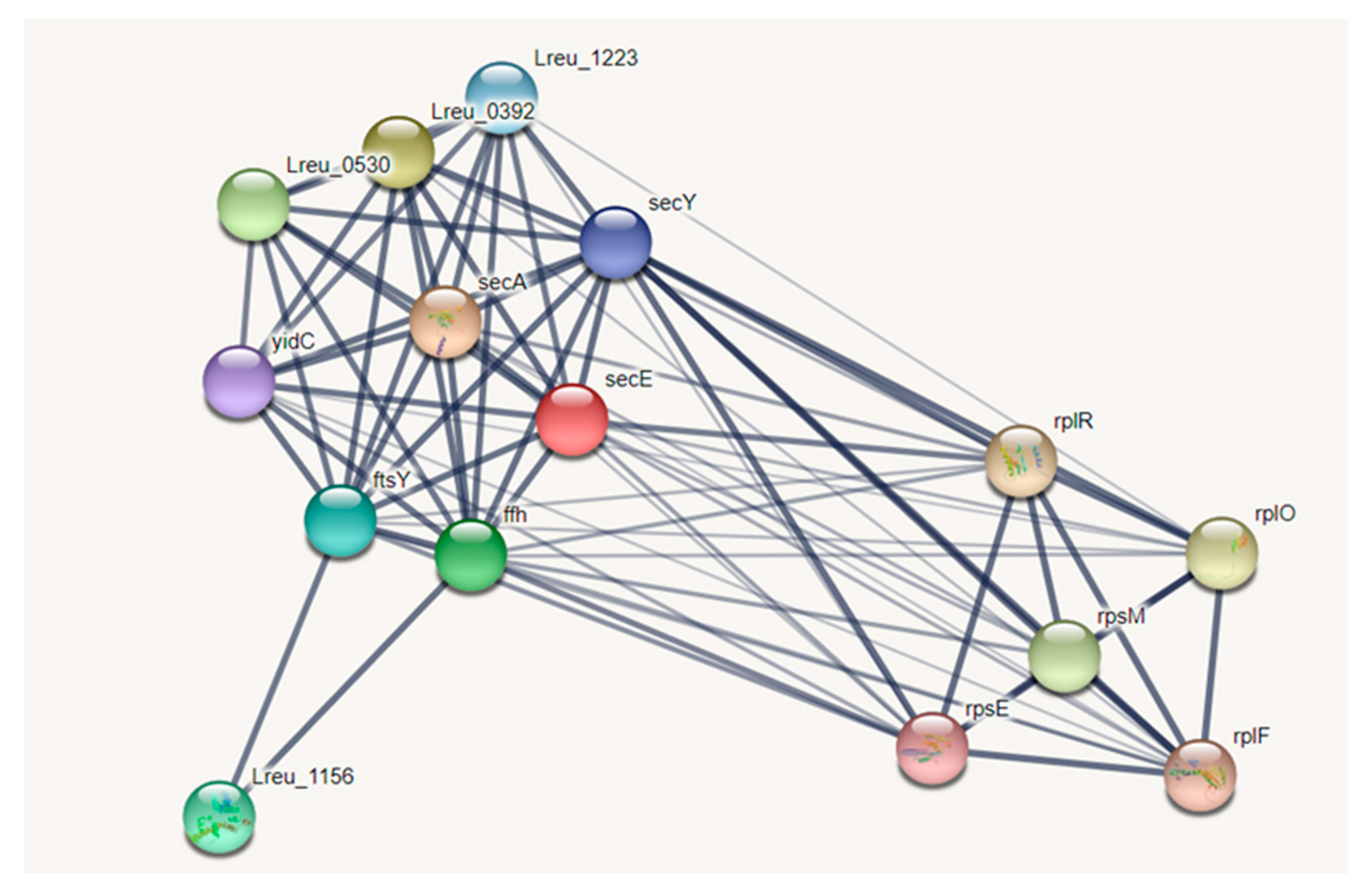 Microorganisms 10 01341 g011