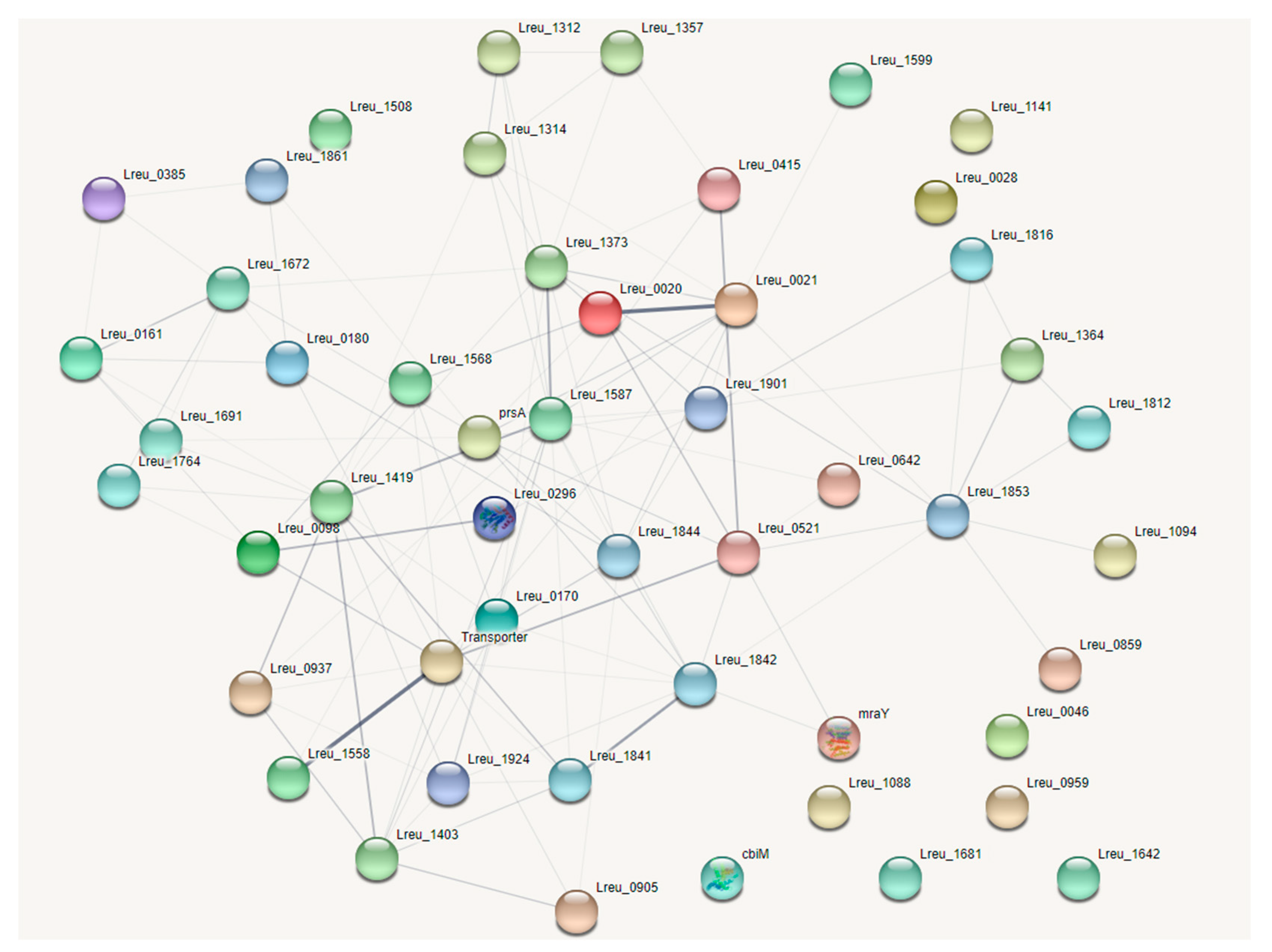 Microorganisms 10 01341 g013