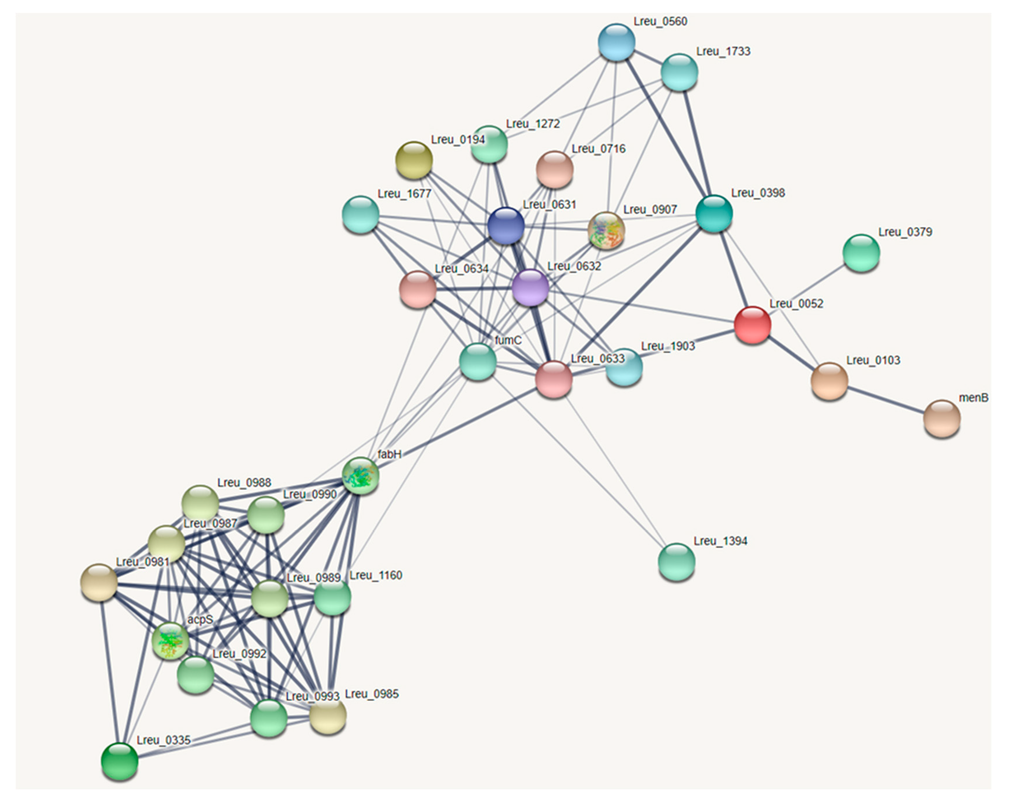 Microorganisms 10 01341 g014