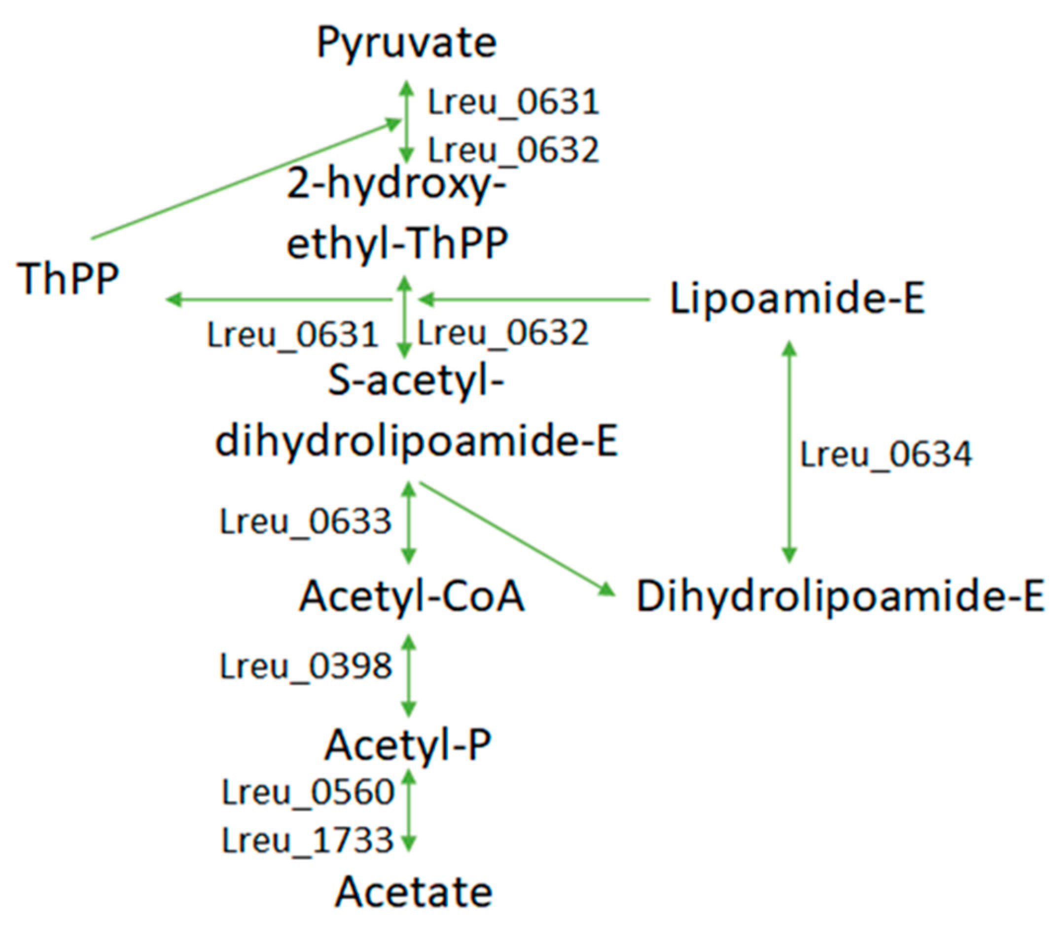 Microorganisms 10 01341 g015