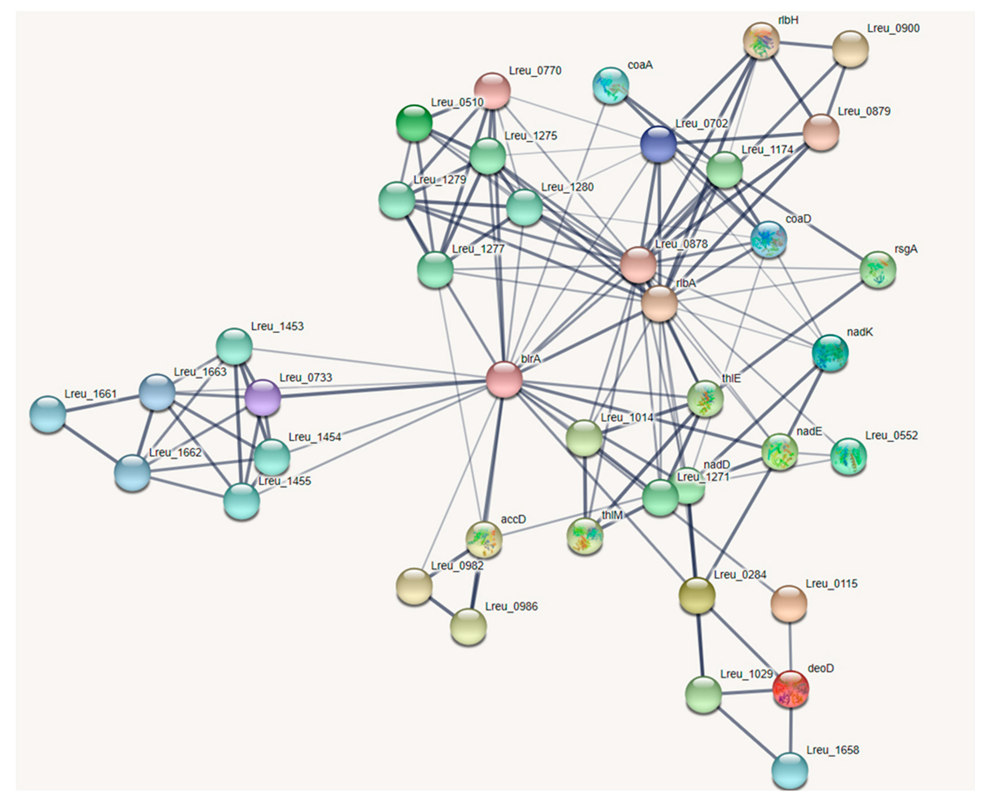 Microorganisms 10 01341 g017