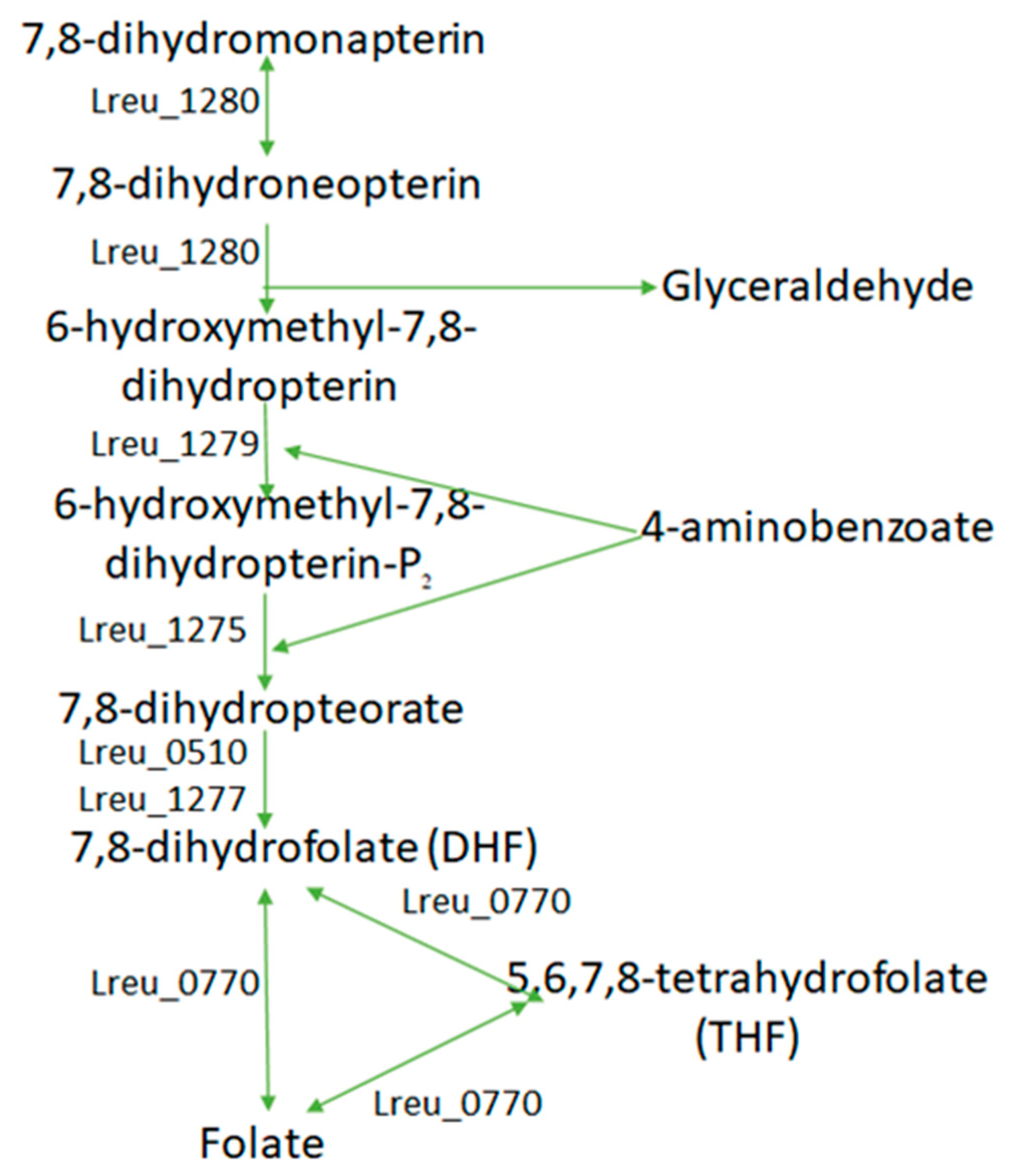 Microorganisms 10 01341 g019