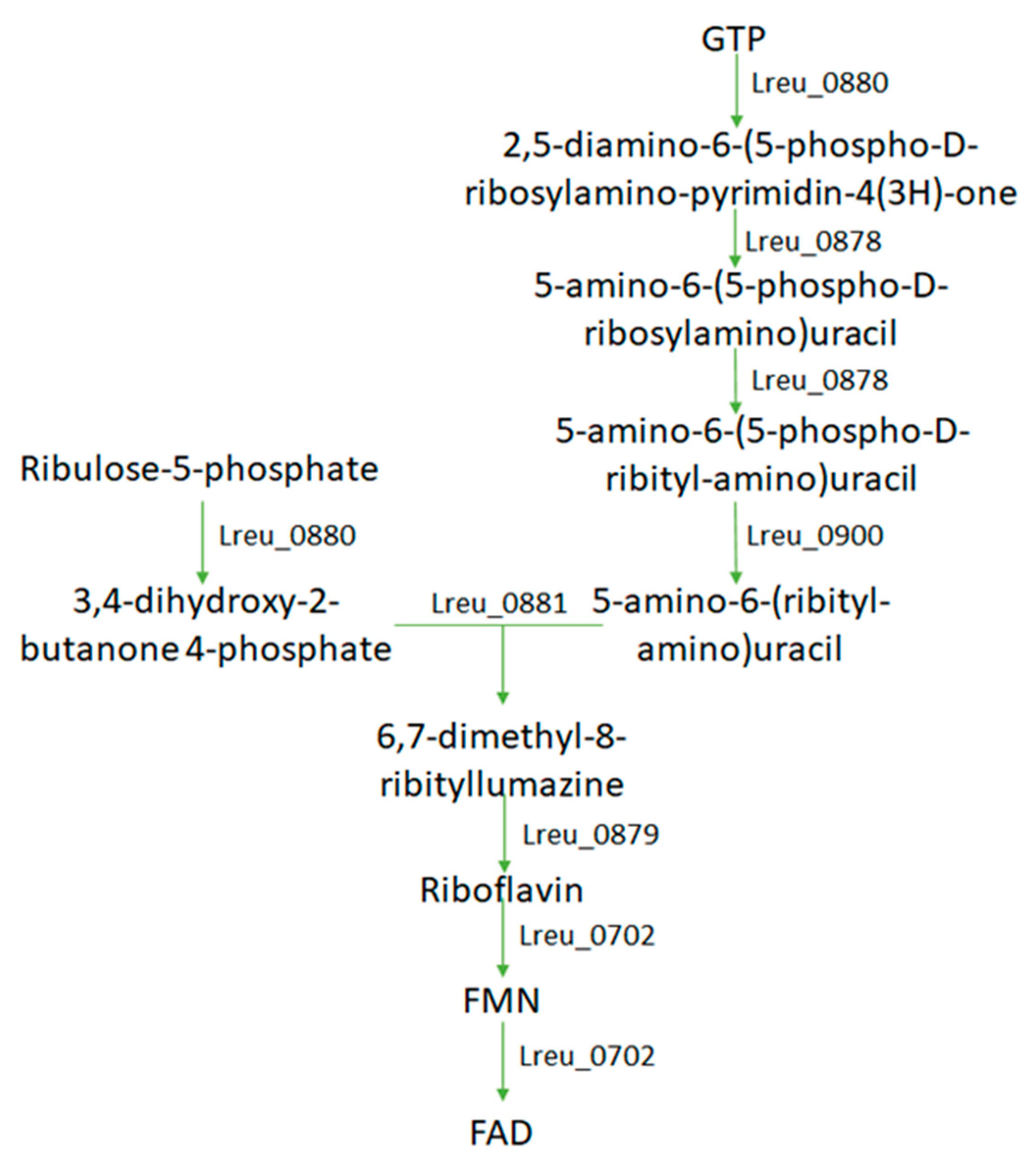 Microorganisms 10 01341 g021