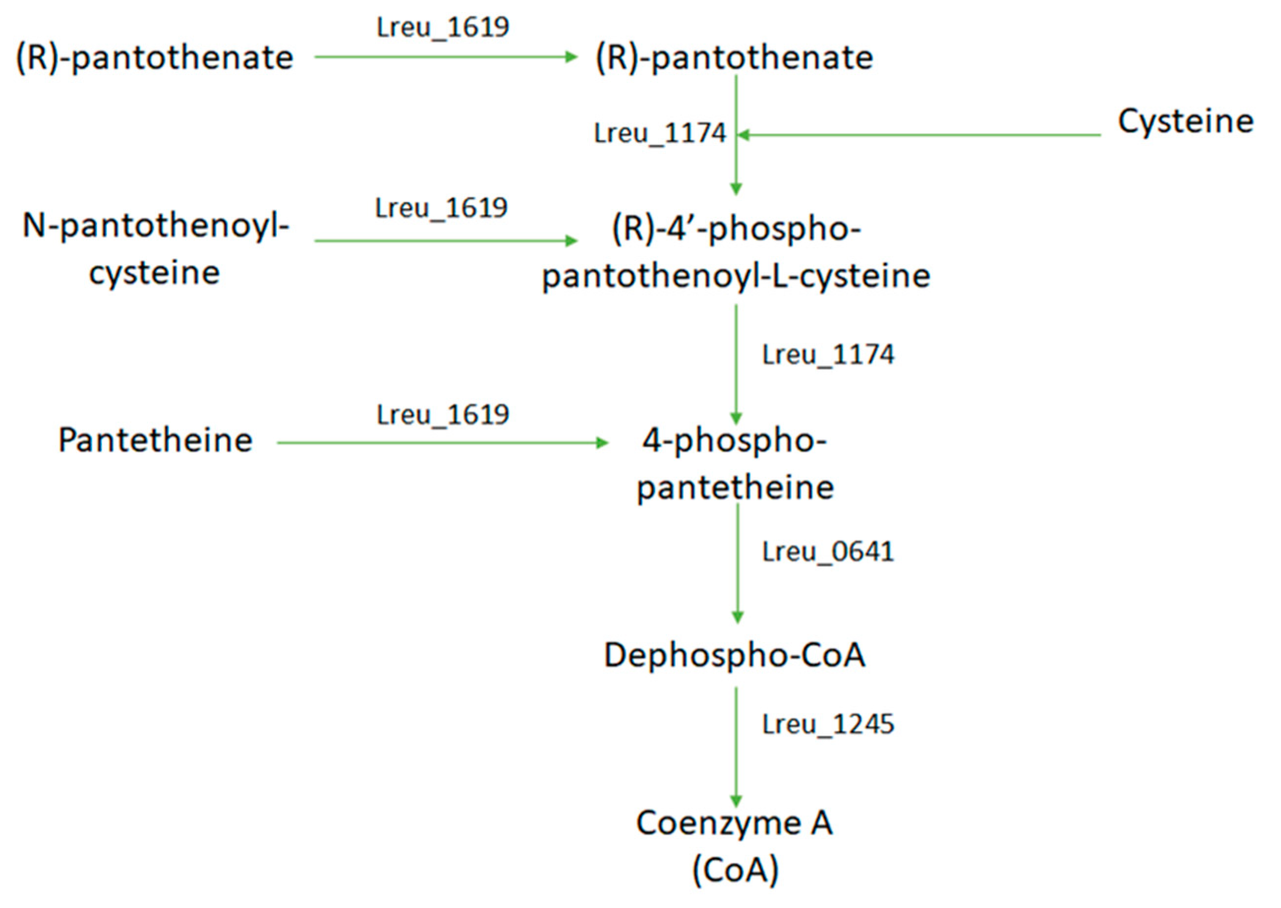 Microorganisms 10 01341 g023