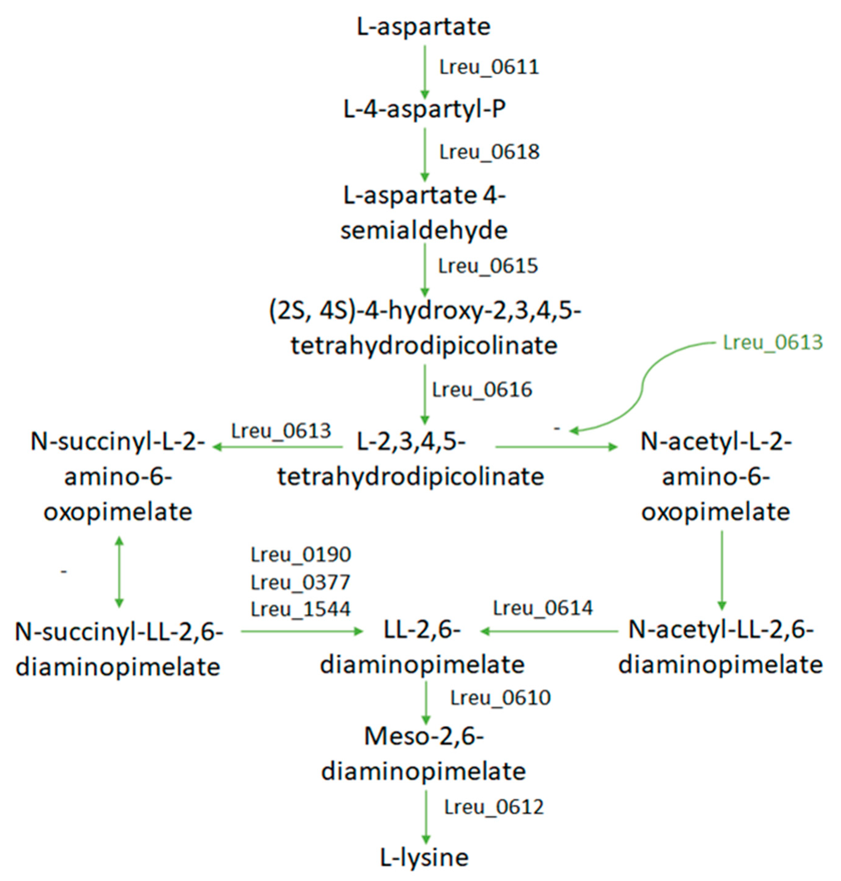 Microorganisms 10 01341 g024