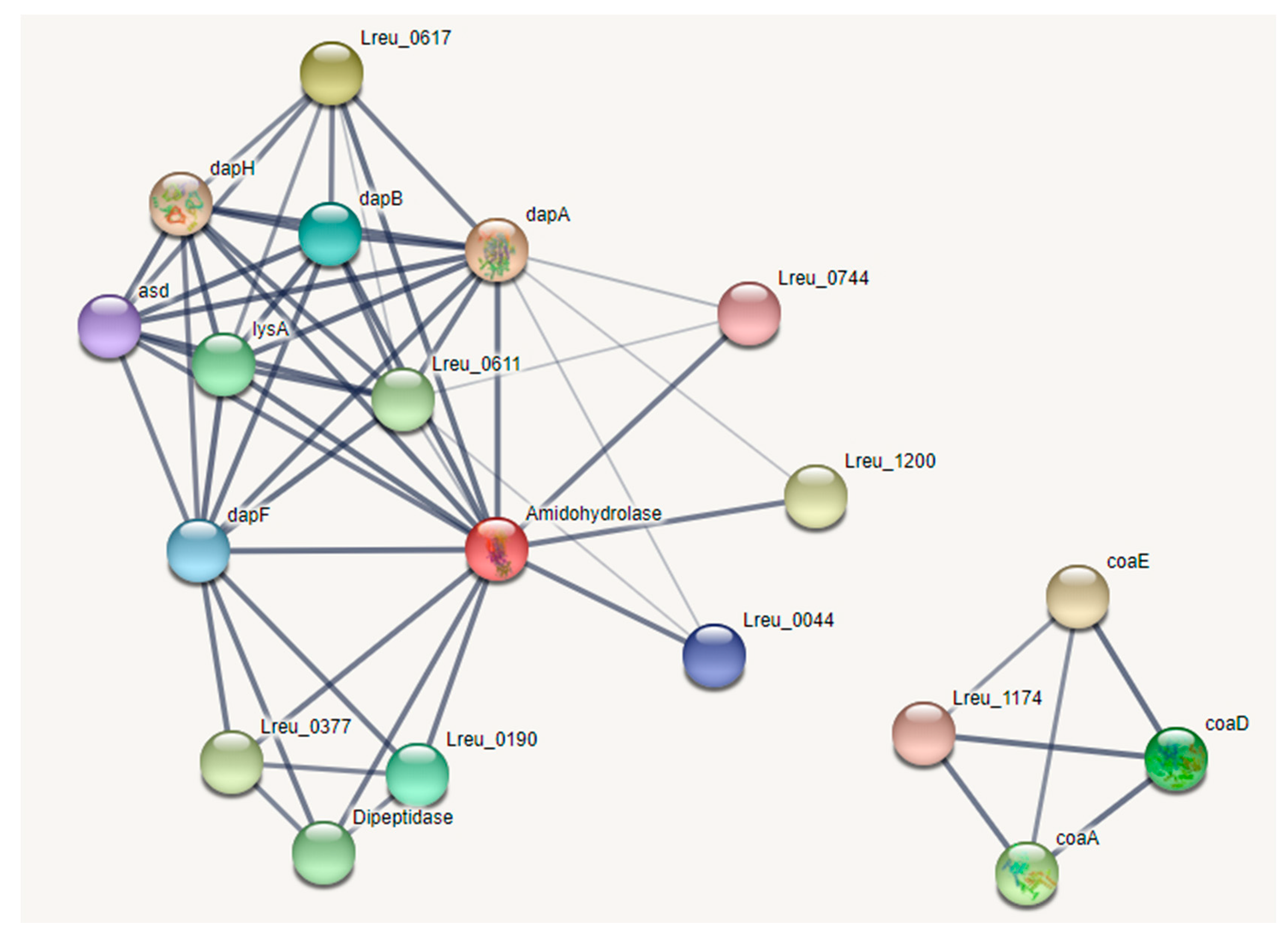 Microorganisms 10 01341 g025