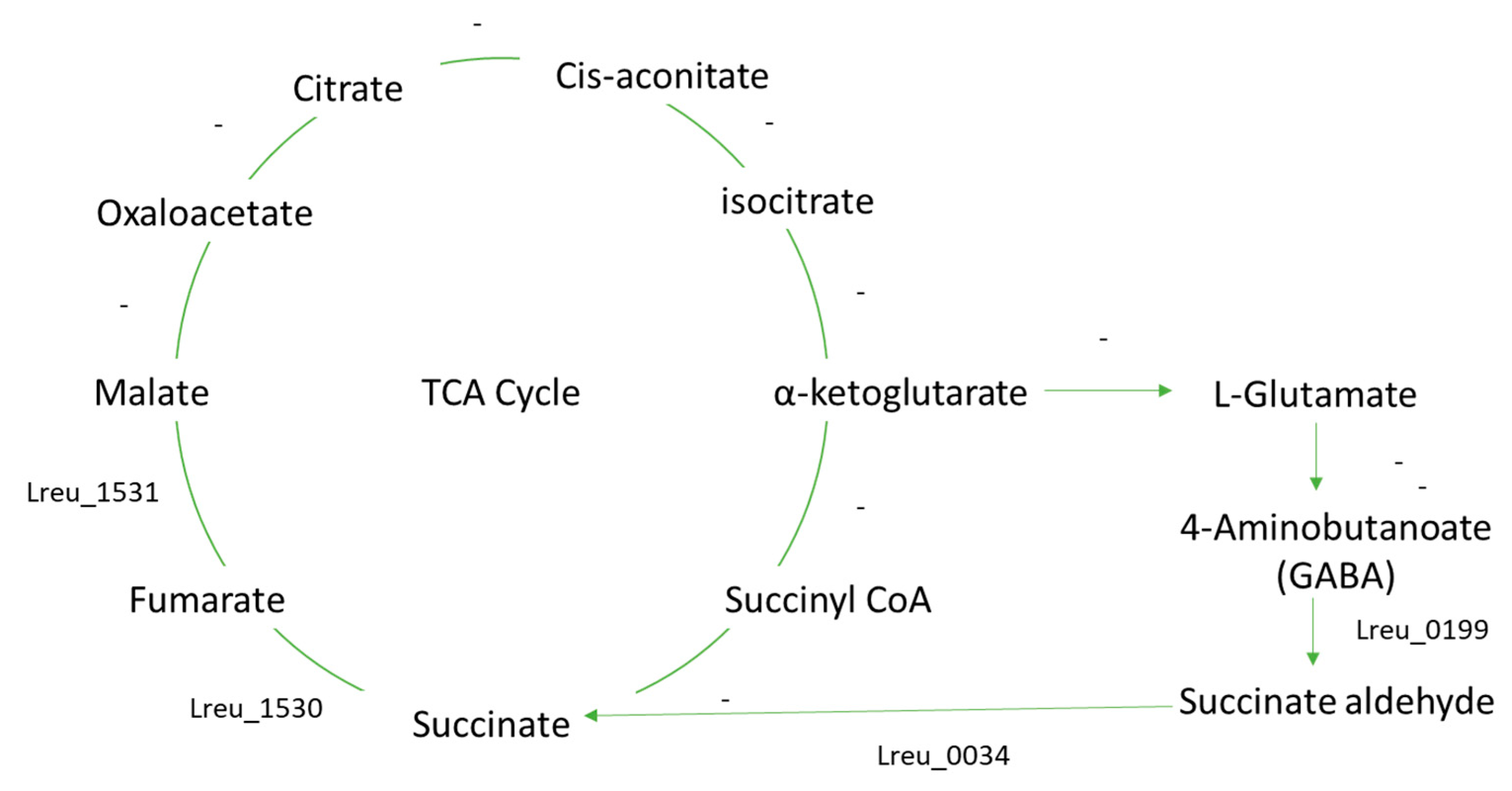 Microorganisms 10 01341 g026
