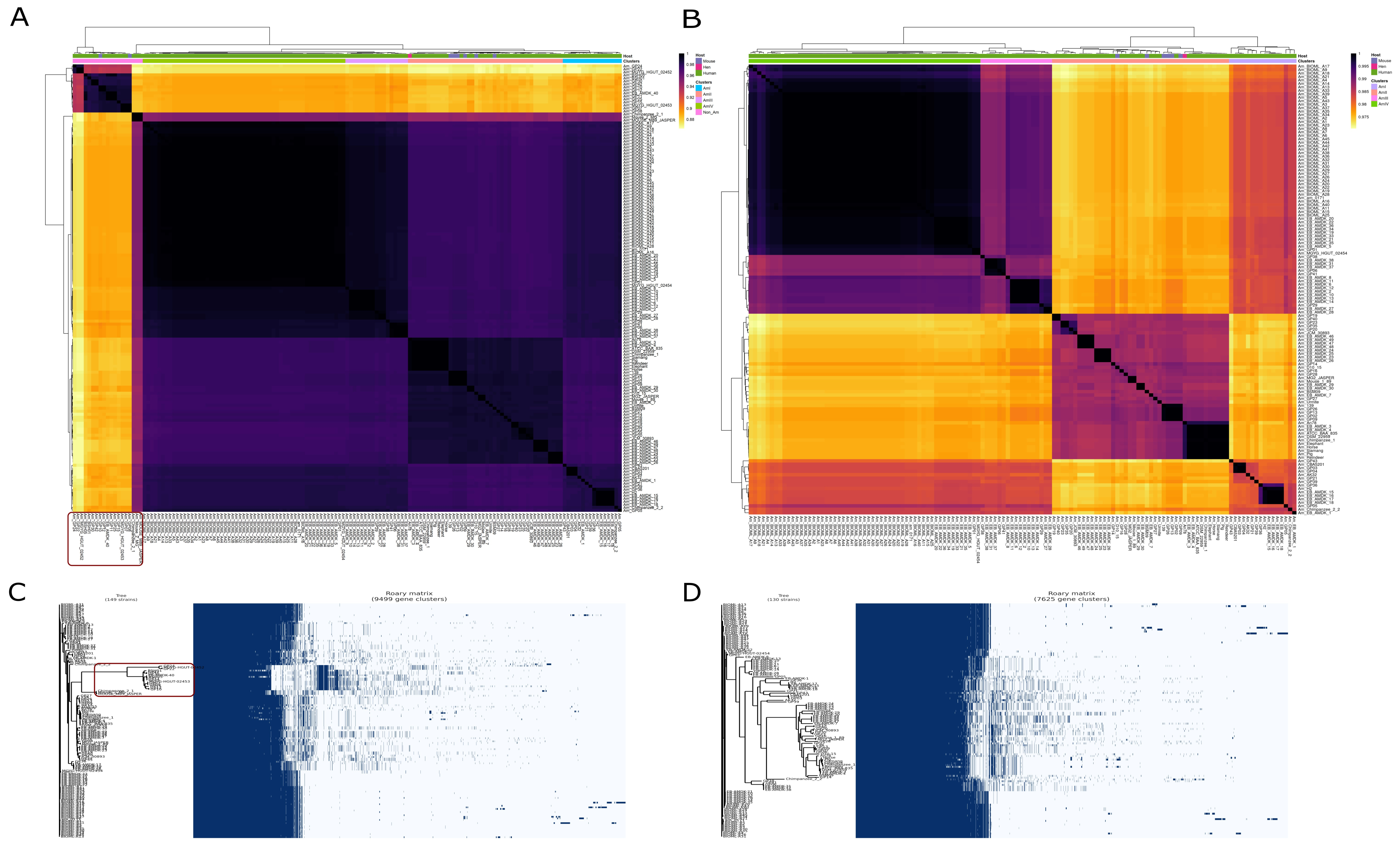 Microbial Comparative Genomics and Pangenomics: New Tools, Approaches And  Insights Into Gene and Genome Evolution