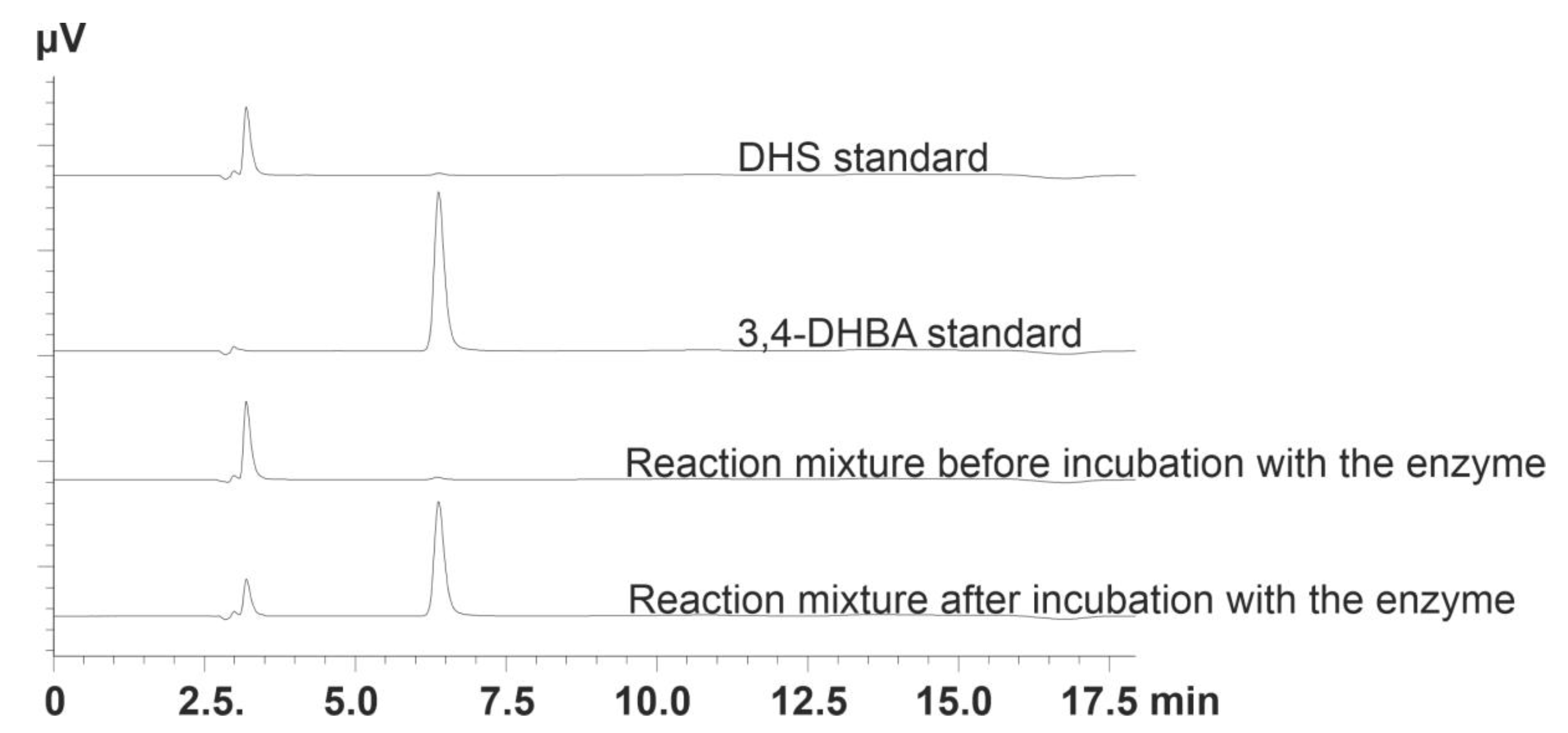 Microorganisms 10 01357 g002