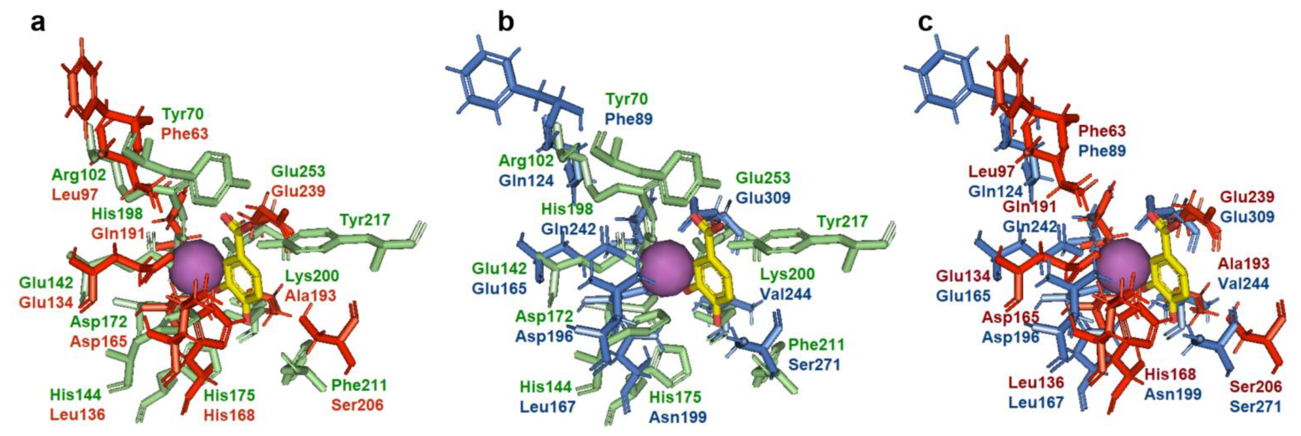 Microorganisms 10 01357 g008