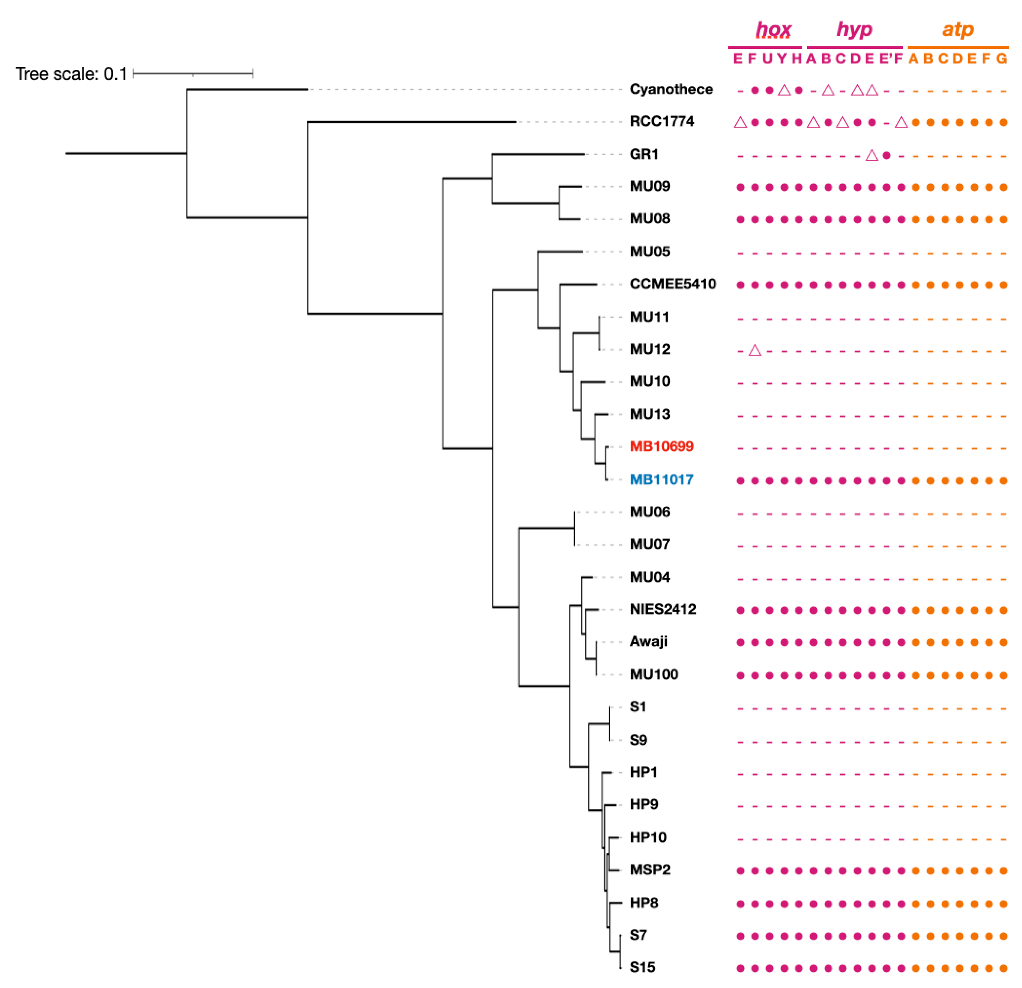 Microorganisms 10 01374 g003 Microorganisms 10 01374 g003