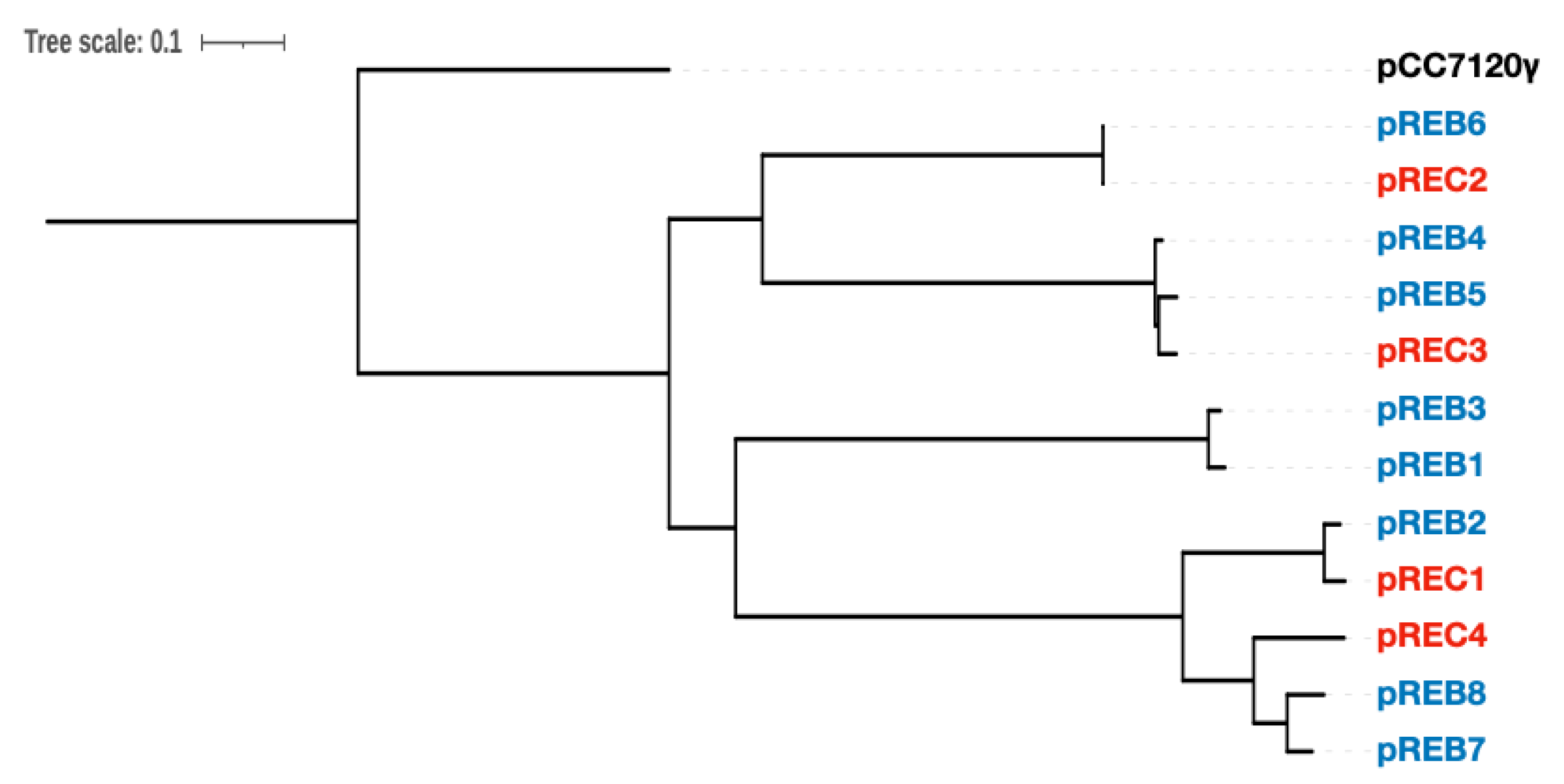 Microorganisms 10 01374 g006 Microorganisms 10 01374 g006