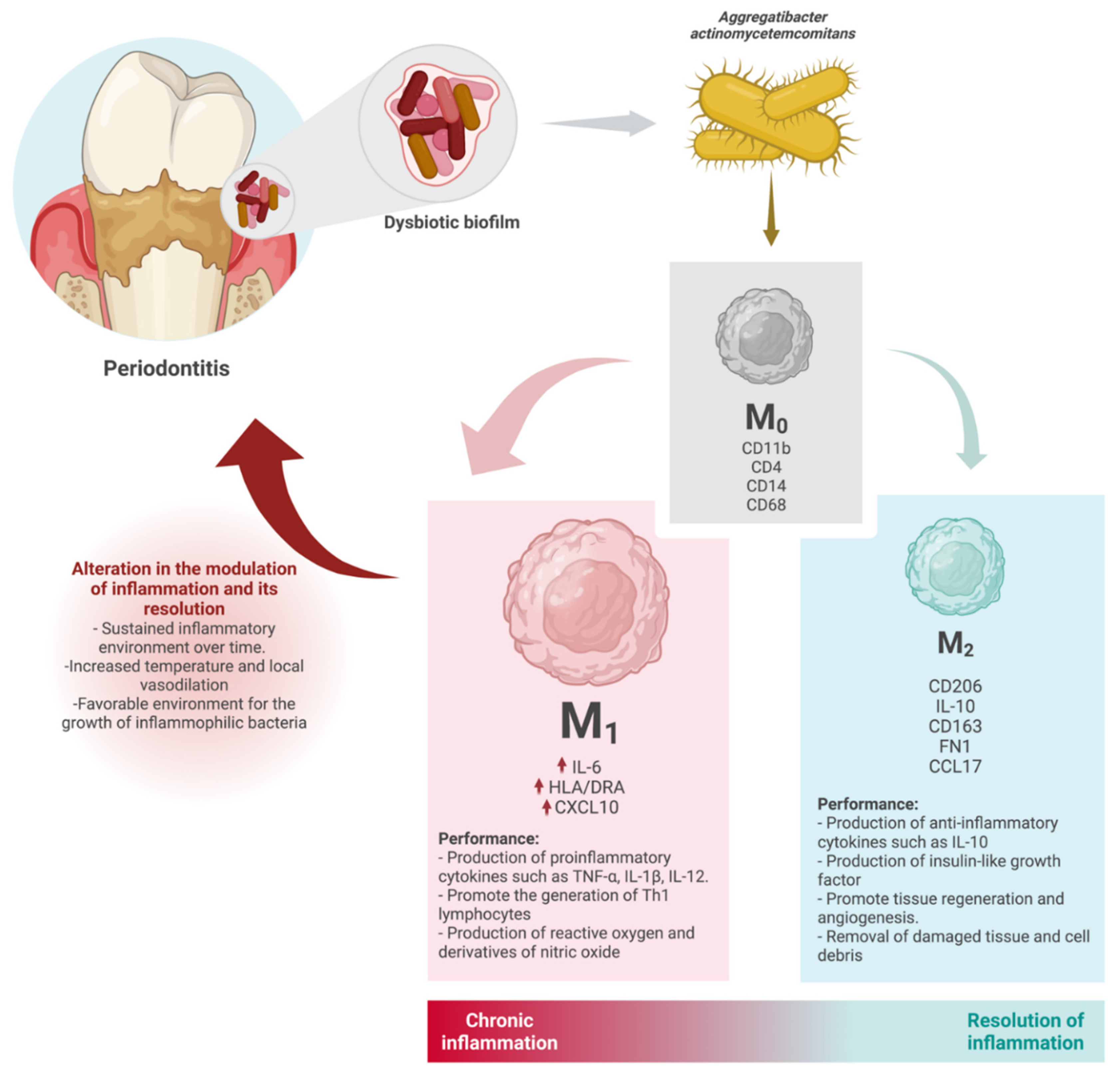 Microorganisms 10 01384 g004