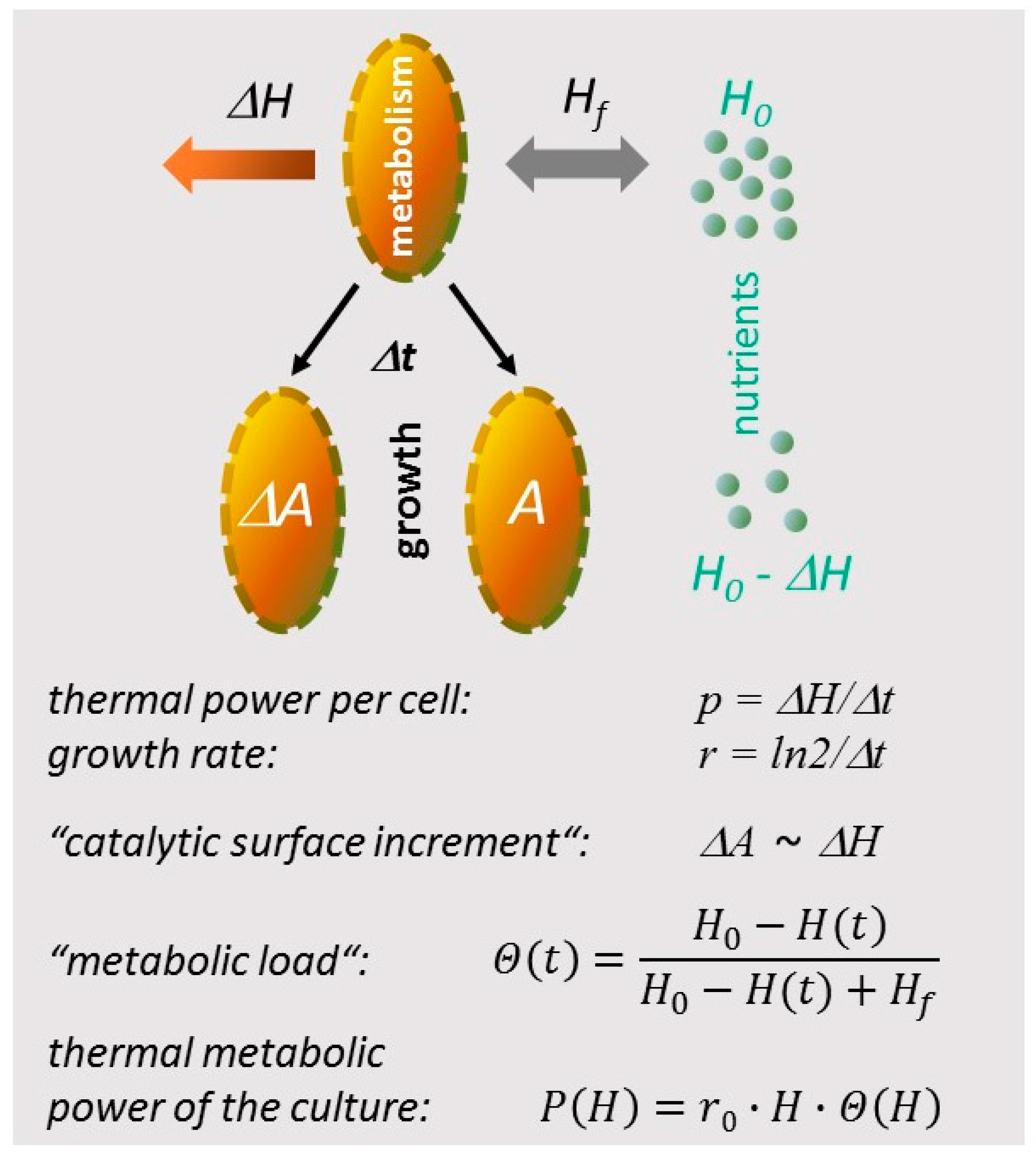 Microorganisms 10 01397 g002